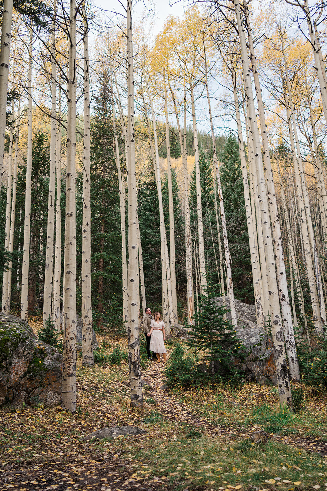 fall guanella pass