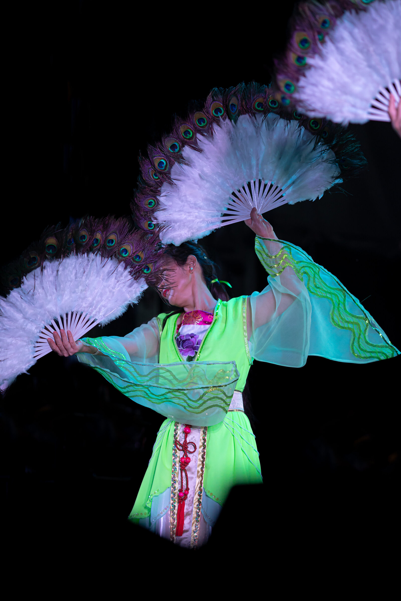 Chinese Cultural & Arts Institute 