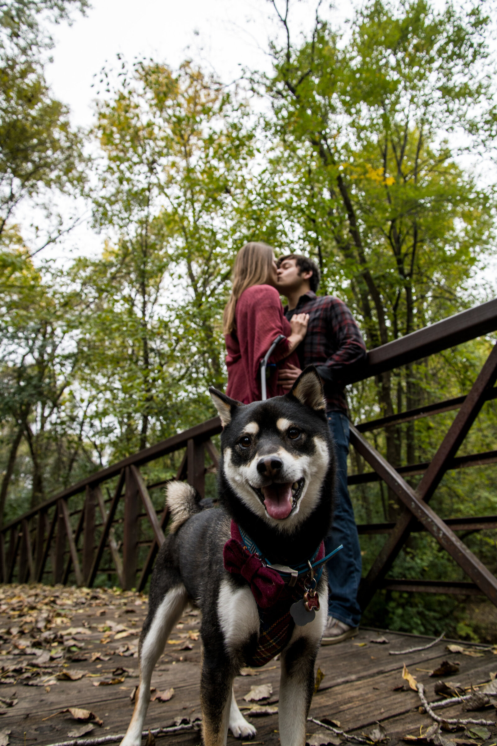 Man and woman kiss behind puppy during engagement photography