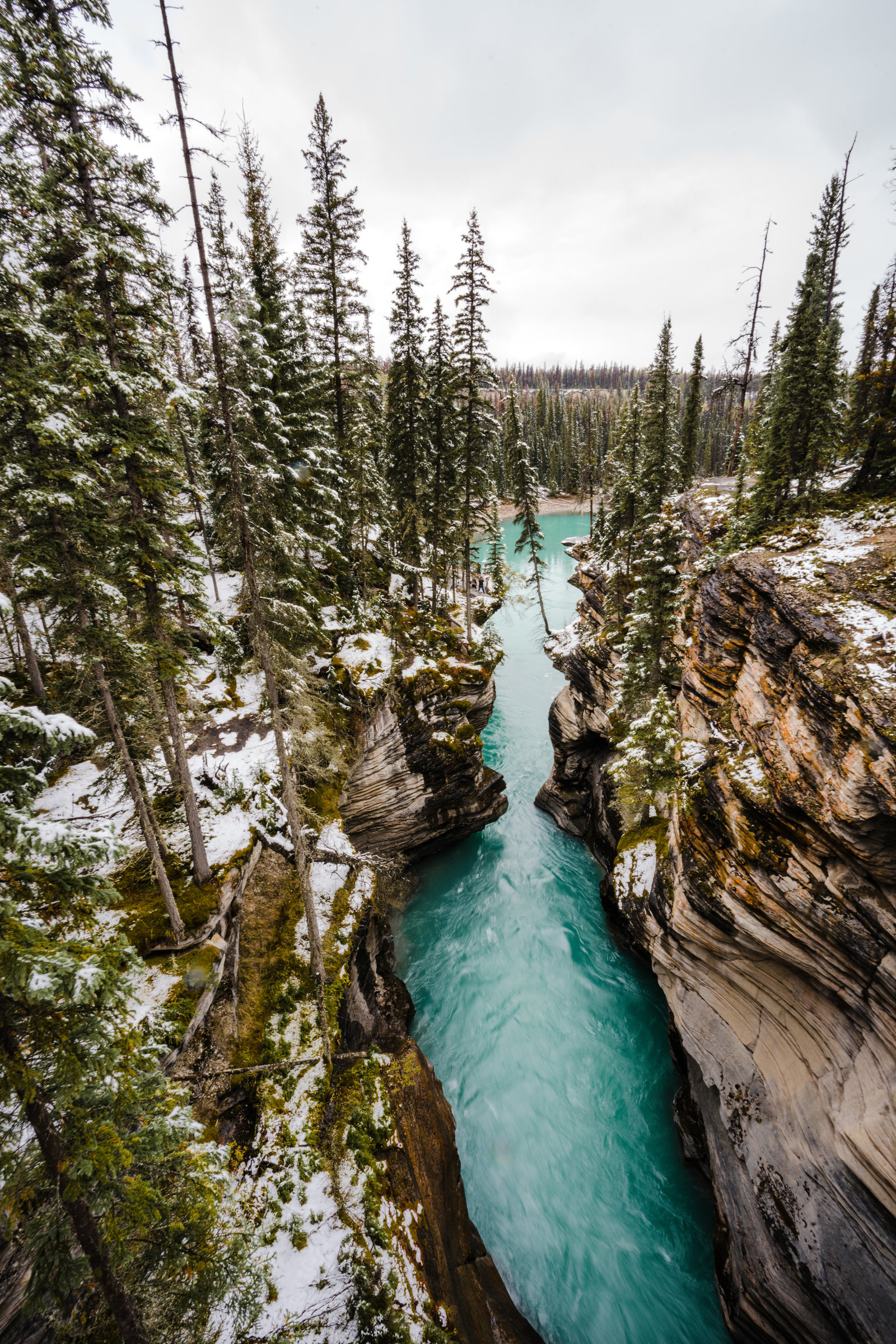 Banff_Jasper_National_Park_Sasha_Reiko_Photography-120