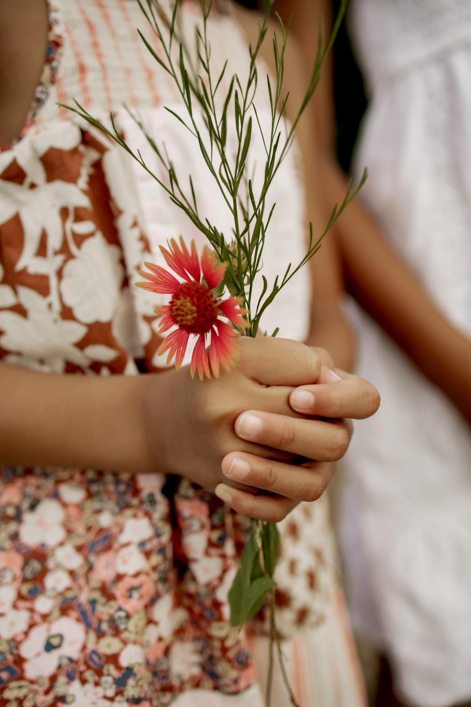 wildflowers in a child's hands