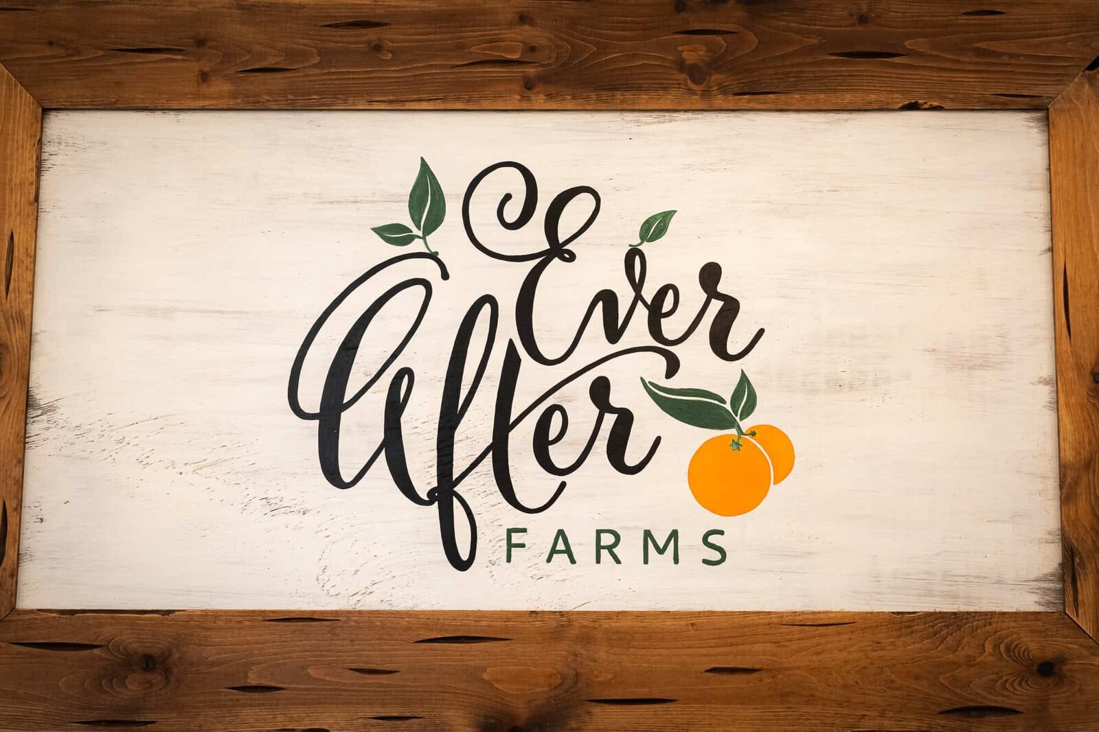 ever-after-farms-wedding-venue-lakeland-wedding-photographers