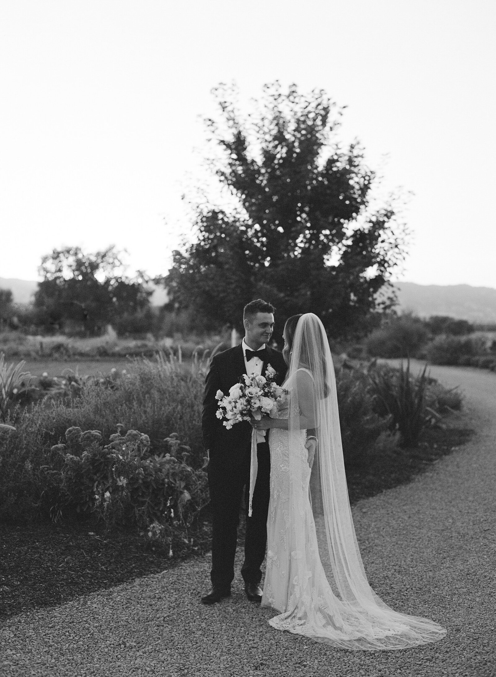 RochelleandPeter_BrideandGroom-8