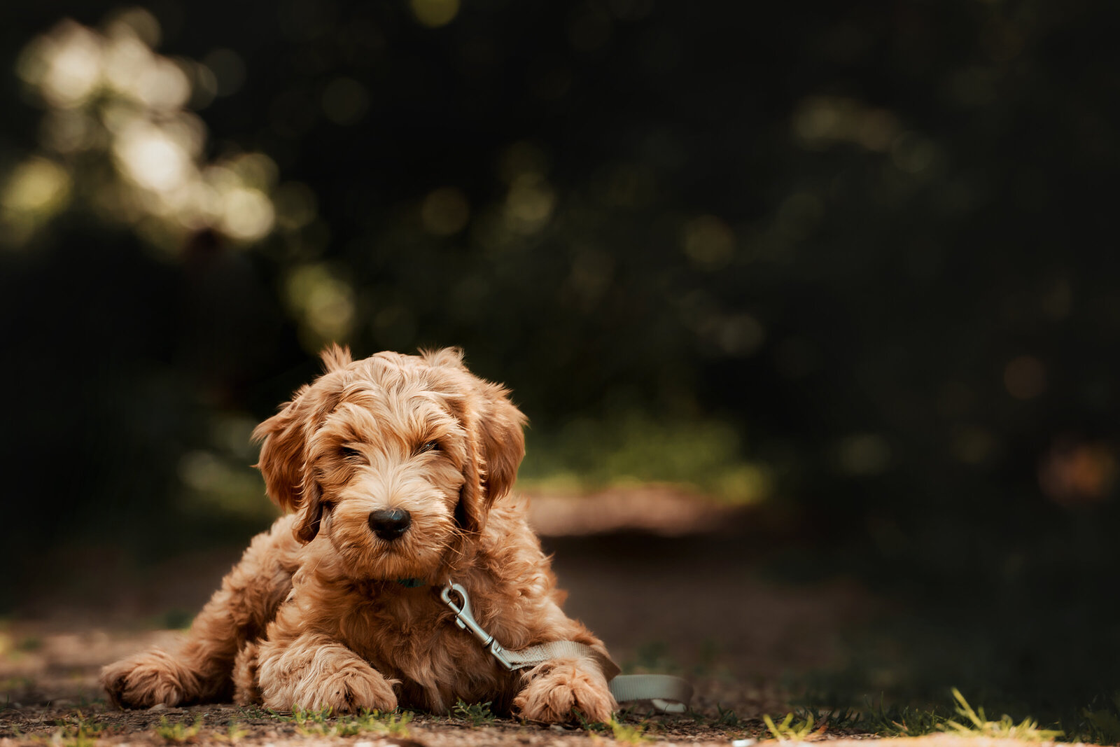 Fotoshoot buiten op locatie in Nissewaard met ontspannen sfeer