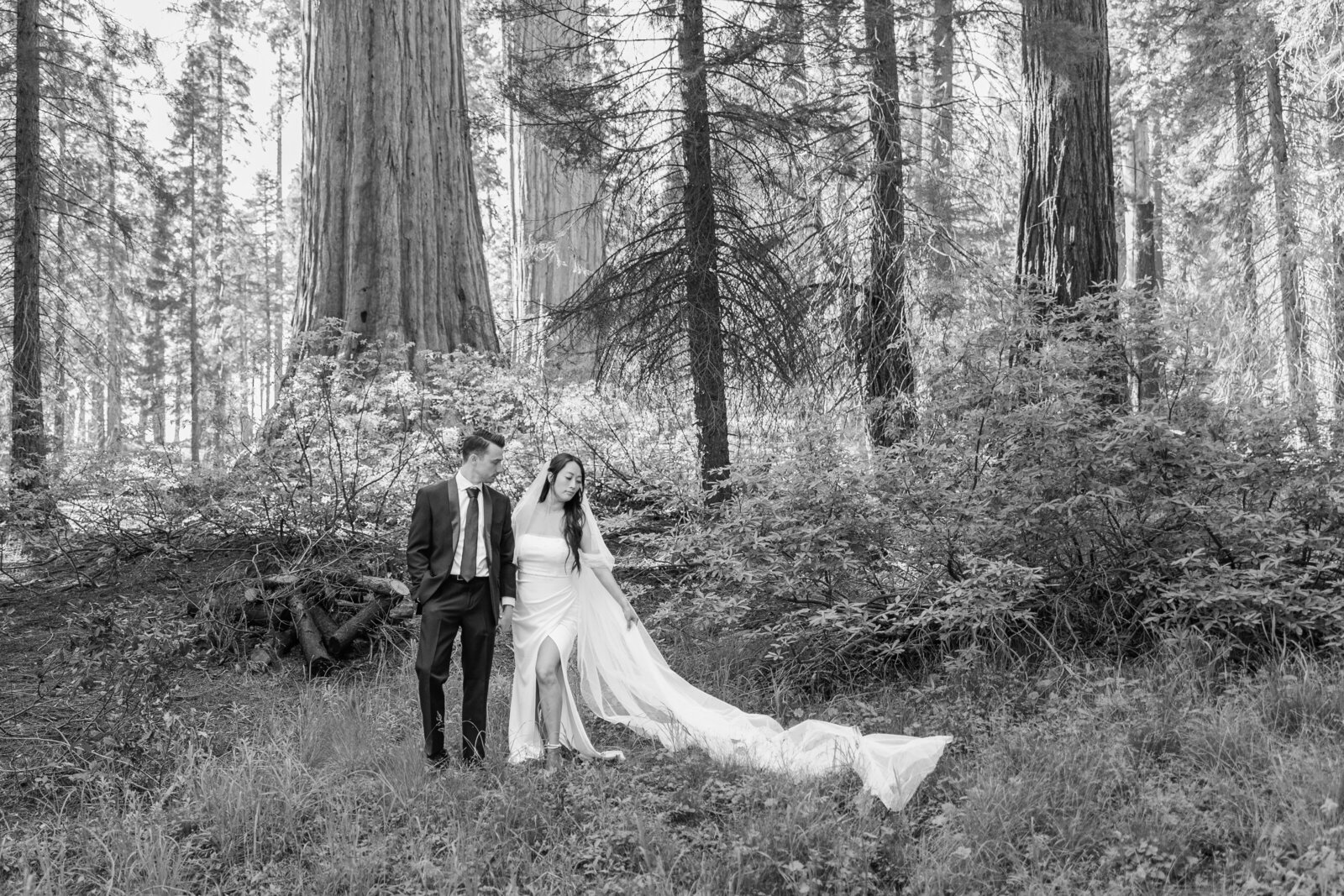 Sequoia_National_Park_Elopement_Helen_Brian-549