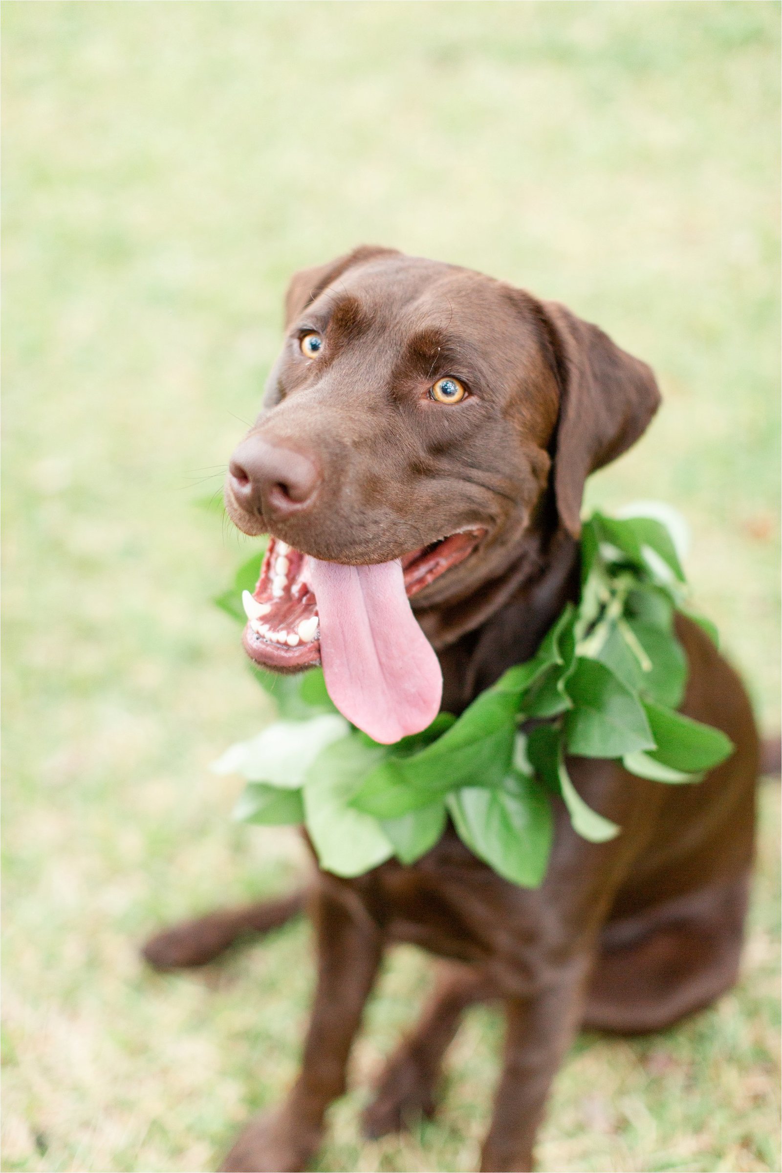 lowndes-grove-plantation-wedding_0111