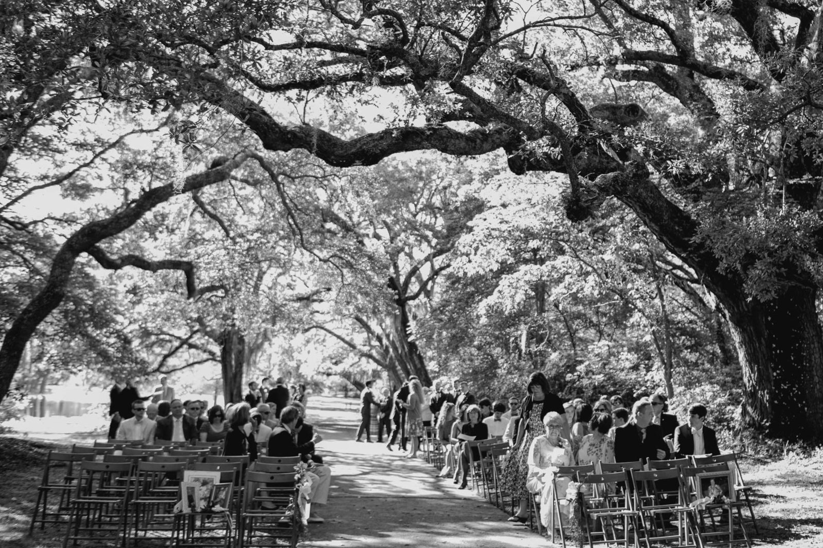 Guests get seated for ceremony, Brookgreen Gardens, Murrells Inlet, South Carolina