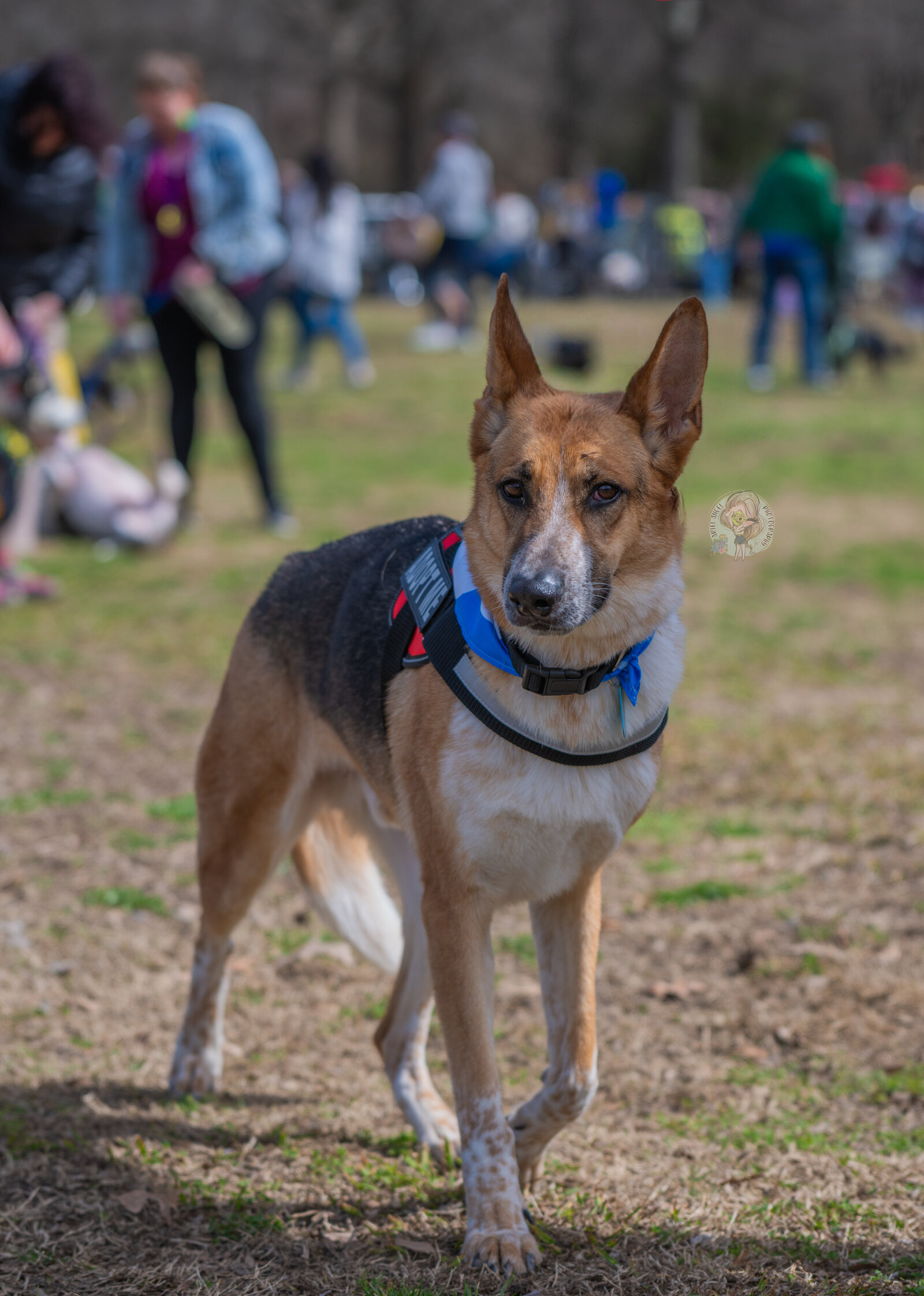 _DSC8536