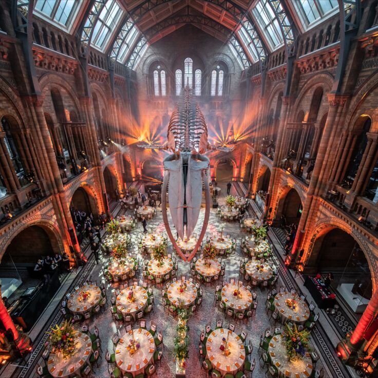 natural-history-museum-london-party