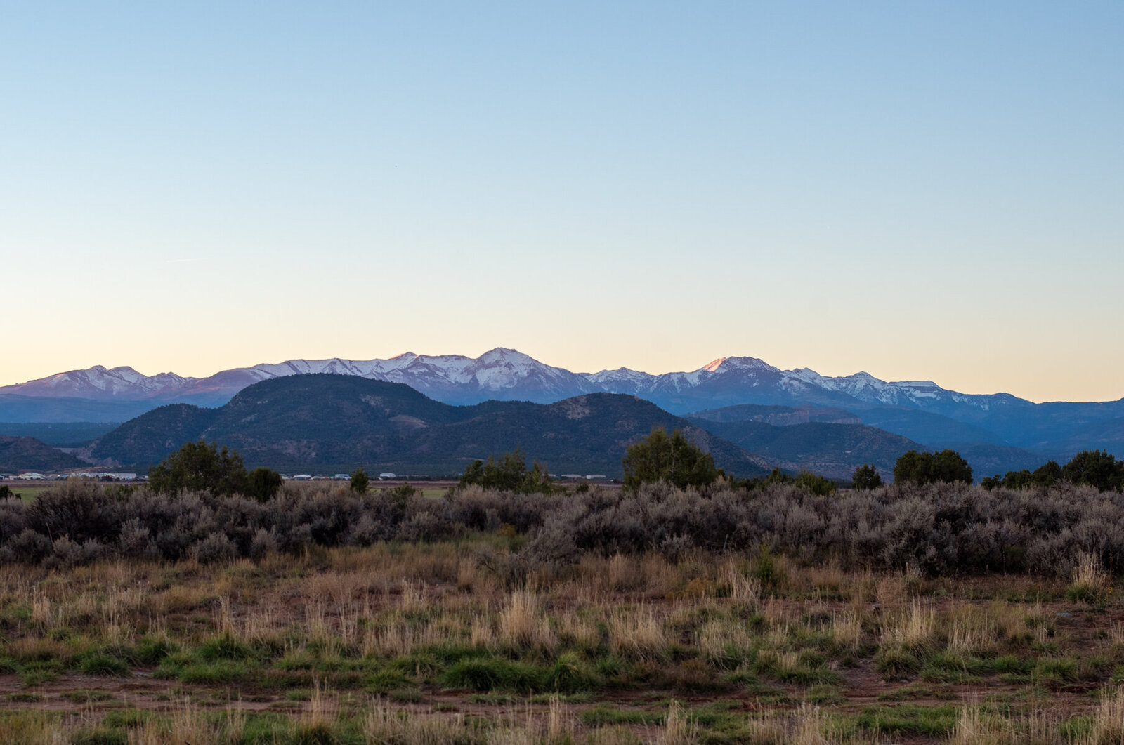 DSC_0181-2
