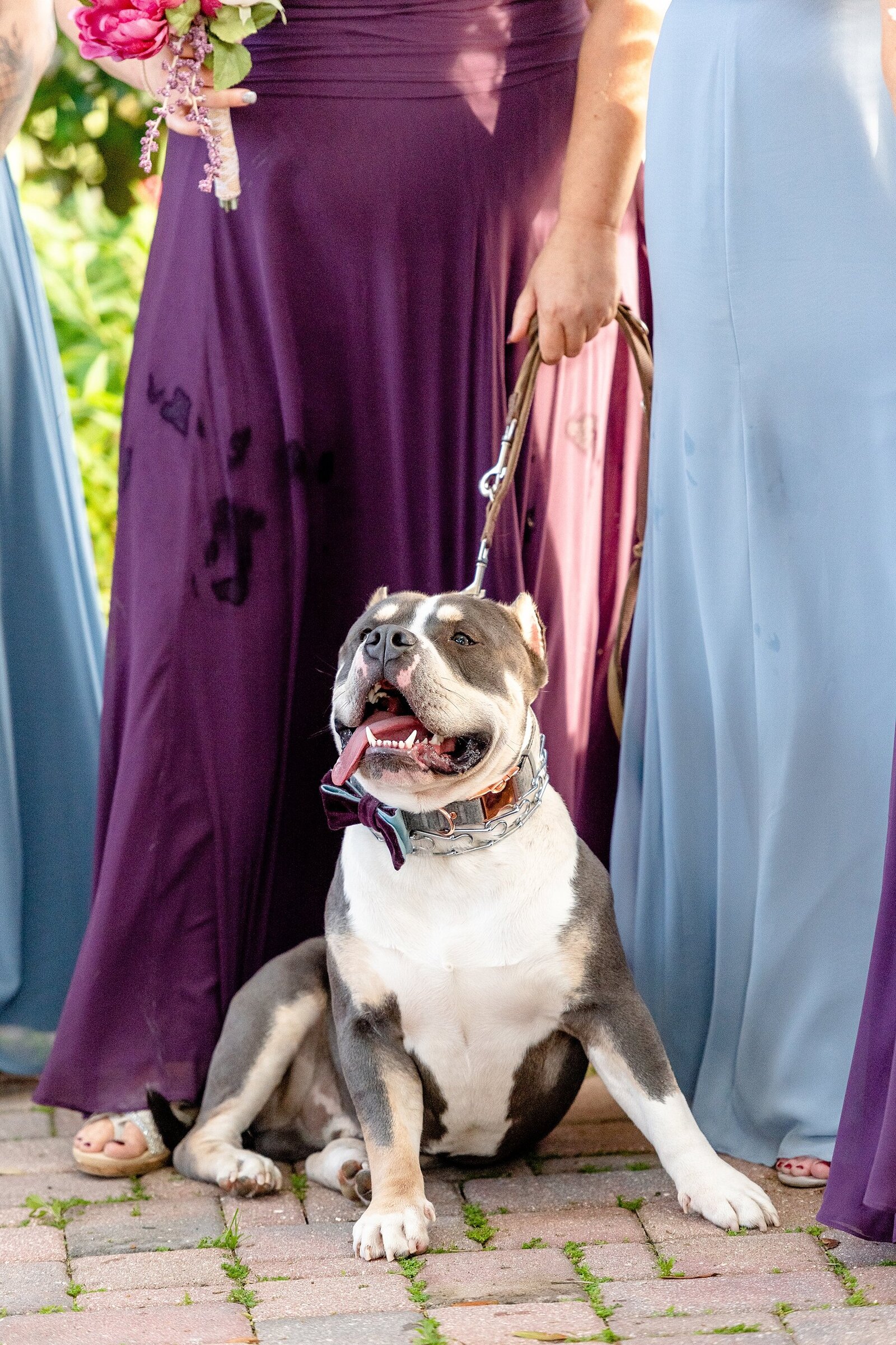 Dog at Wedding | Town Manor | Chynna Pacheco Photography
