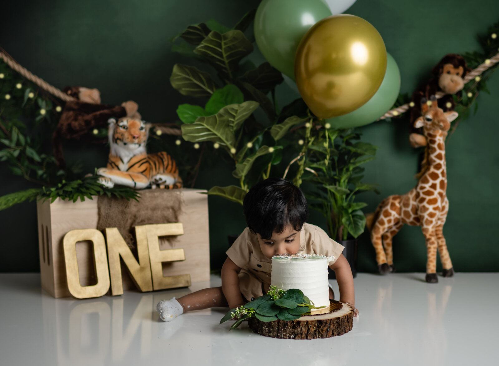 safari cake smash photographer