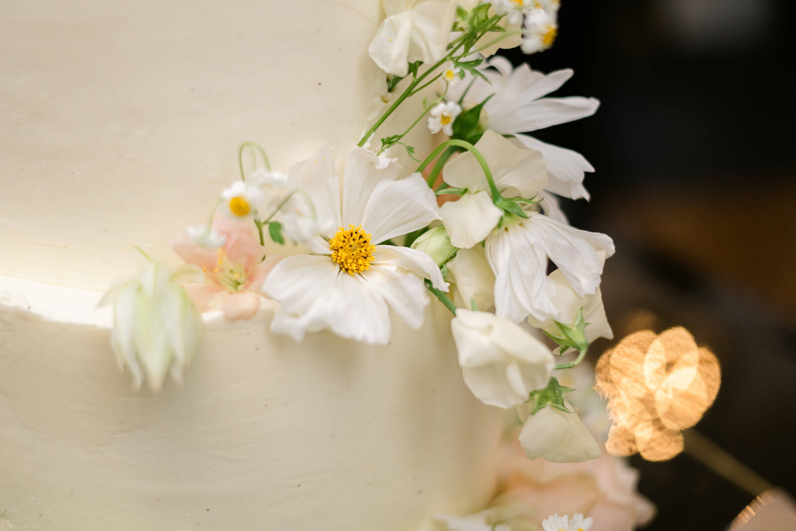 penticton-wedding-photographer (30)