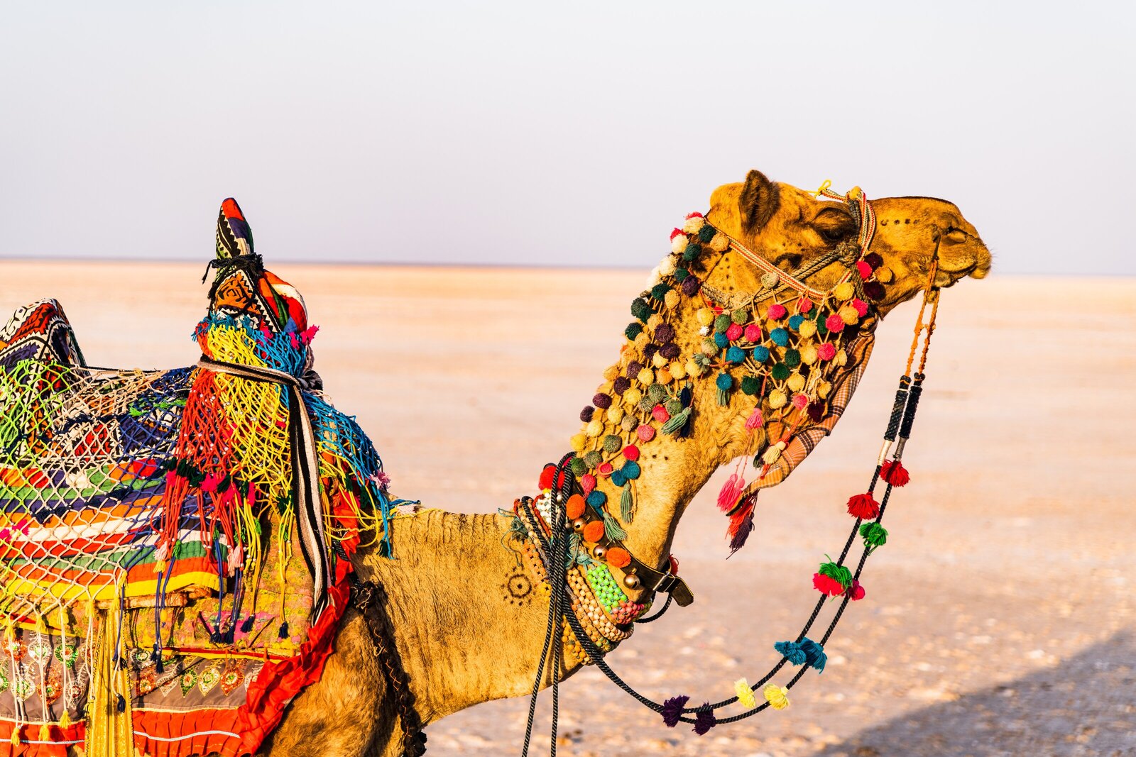 hari-nandakumar-5U132F-itpg-unsplash