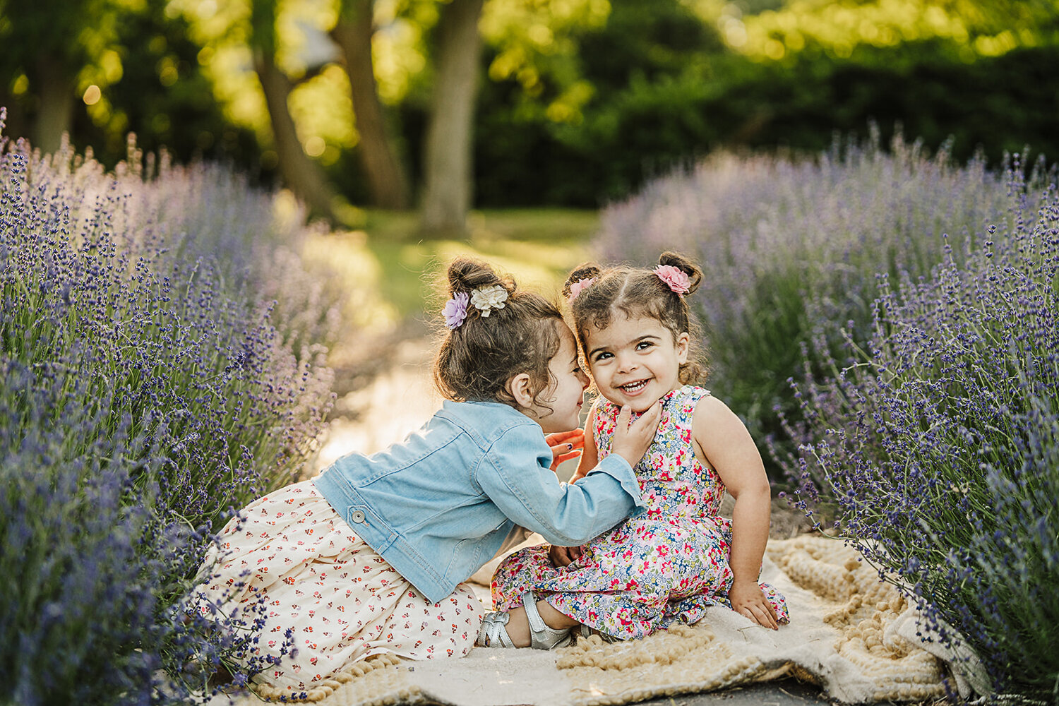 big sister whispers to smiling baby sister in field of lavender