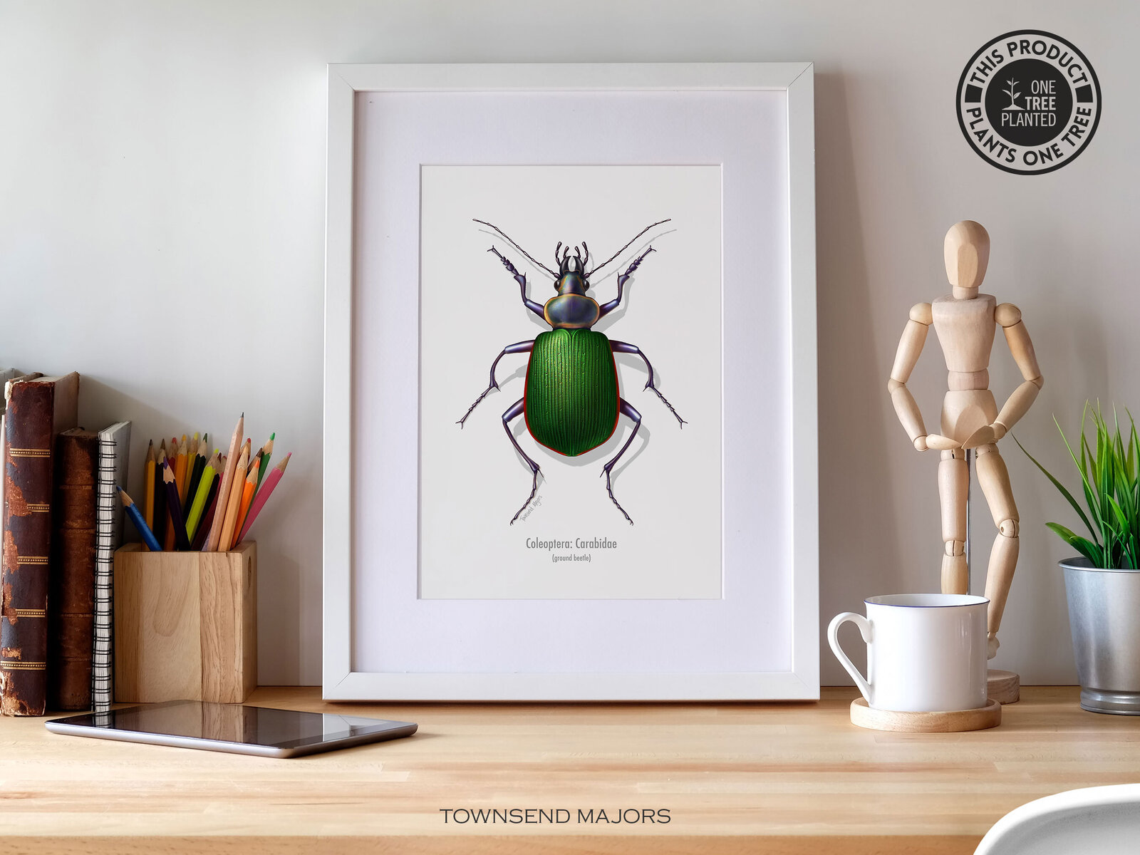 townsend-majors-beetle-print