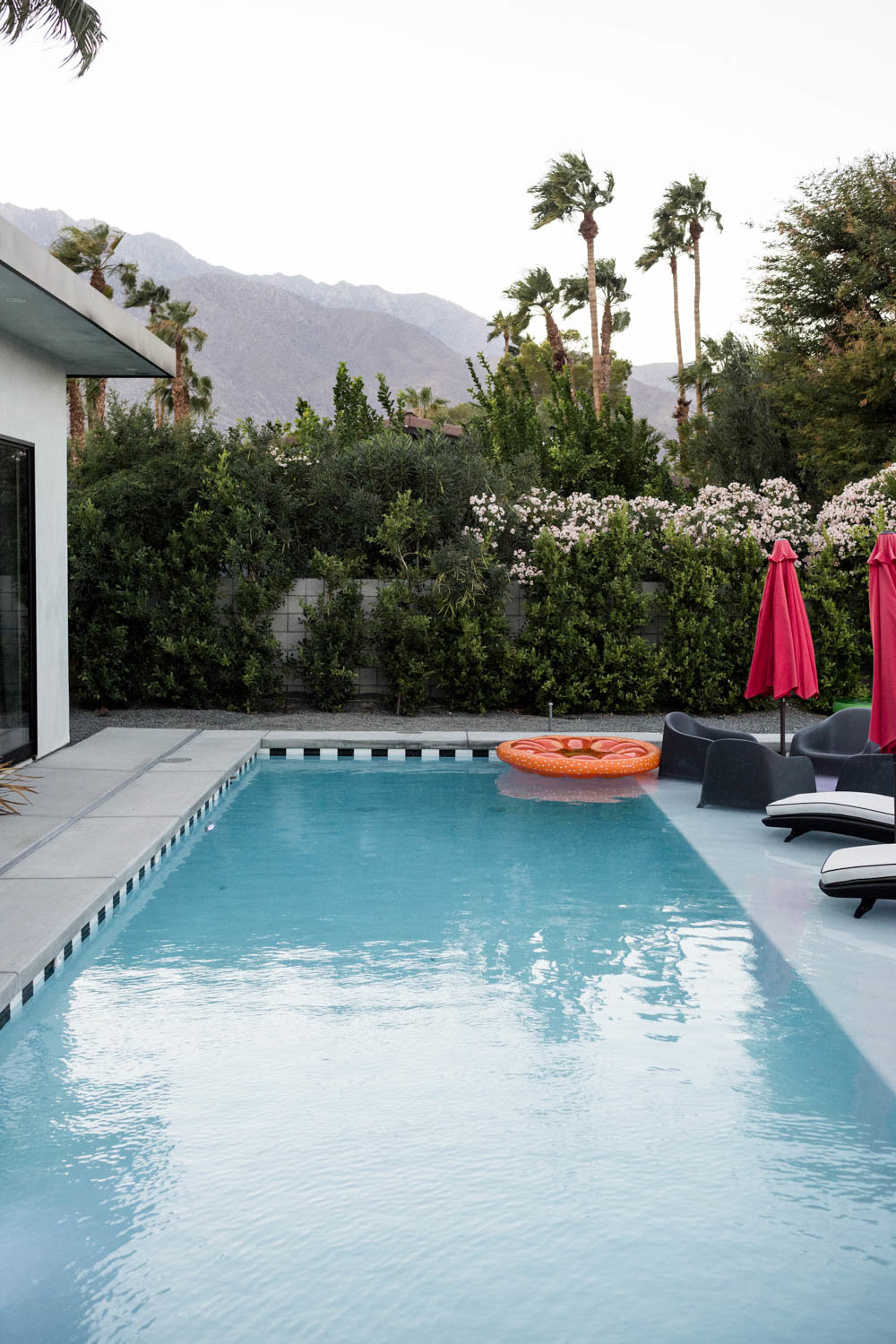 Pool and palm trees in Palm Springs by Danielle Motif Photography