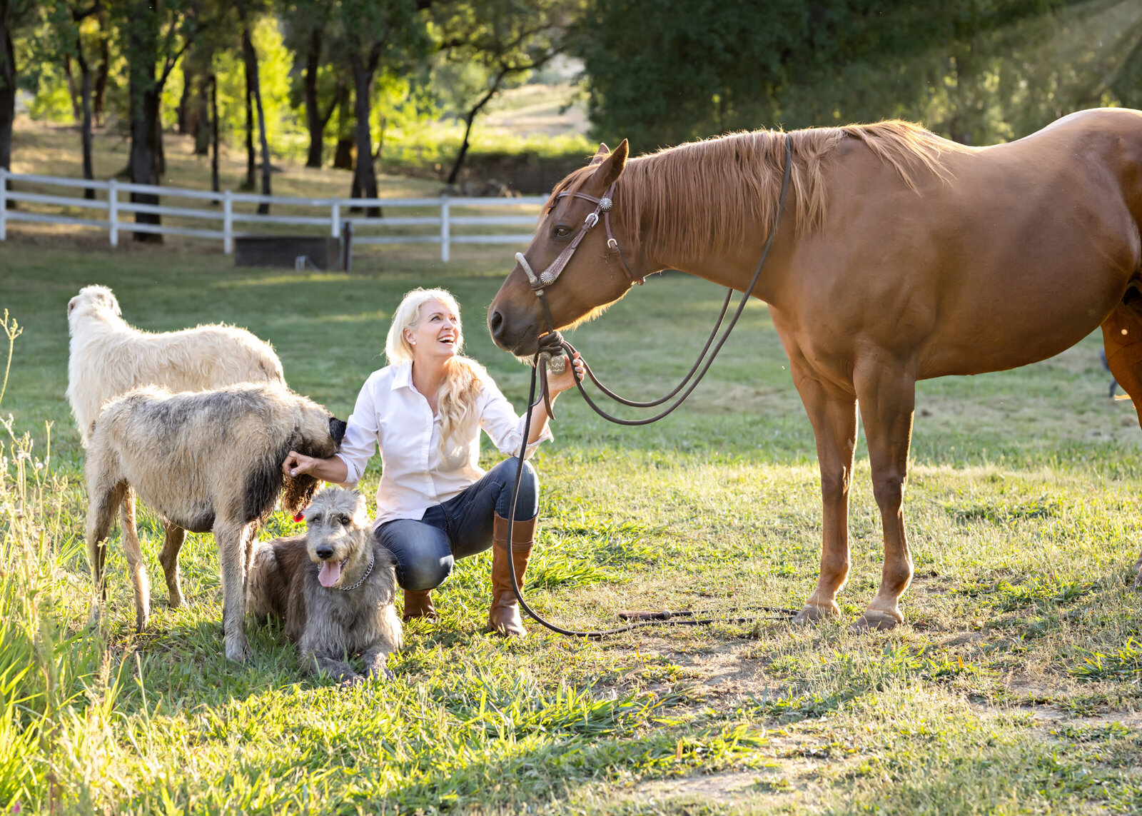 Northern California Equine Portraits