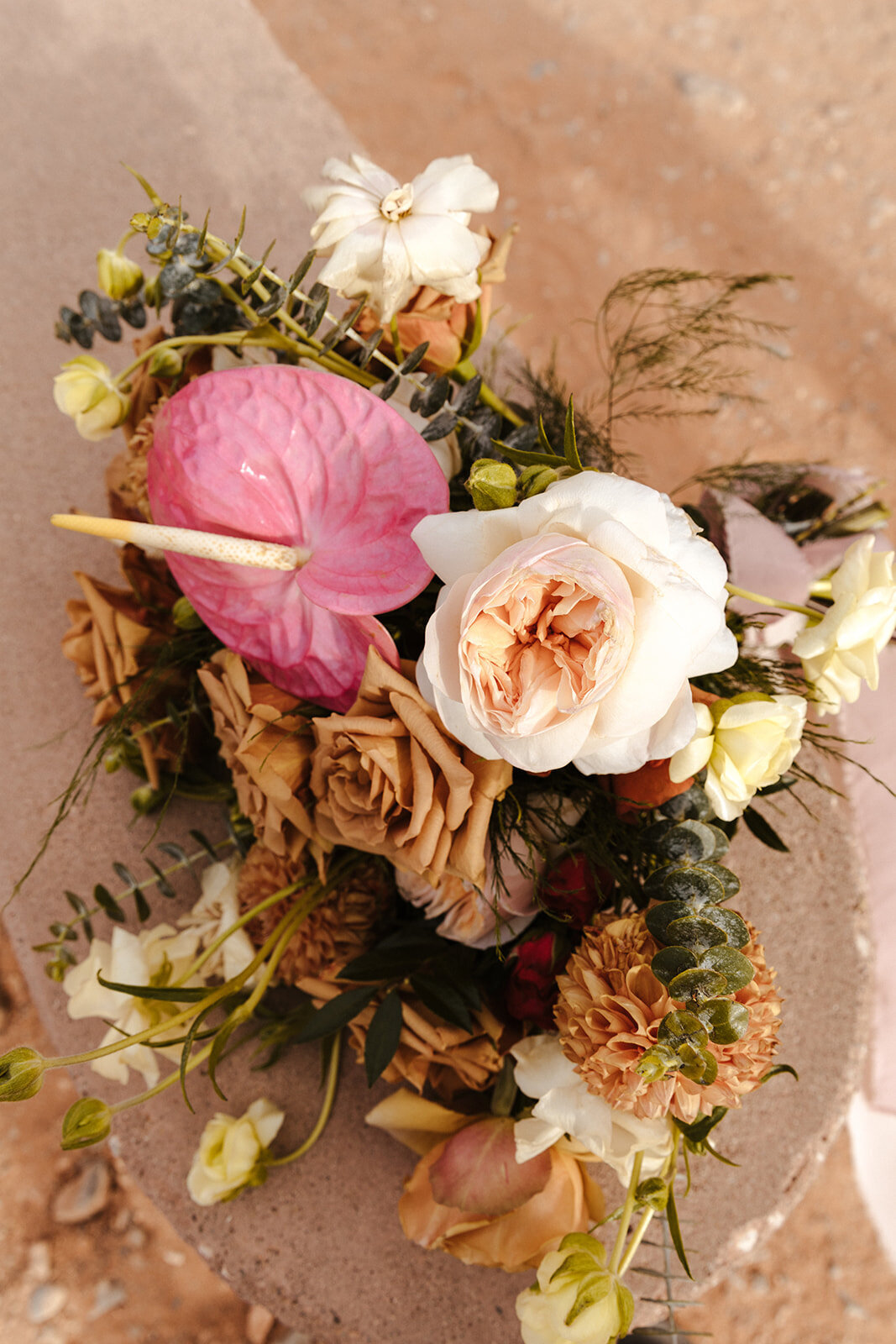 SarahMillikanPhotography-3878