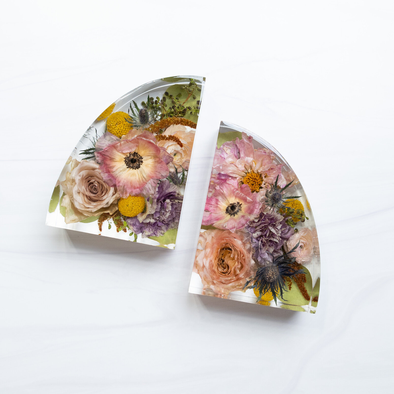 bookends pink purple yellow anemone ball thistle blue DelaneyA