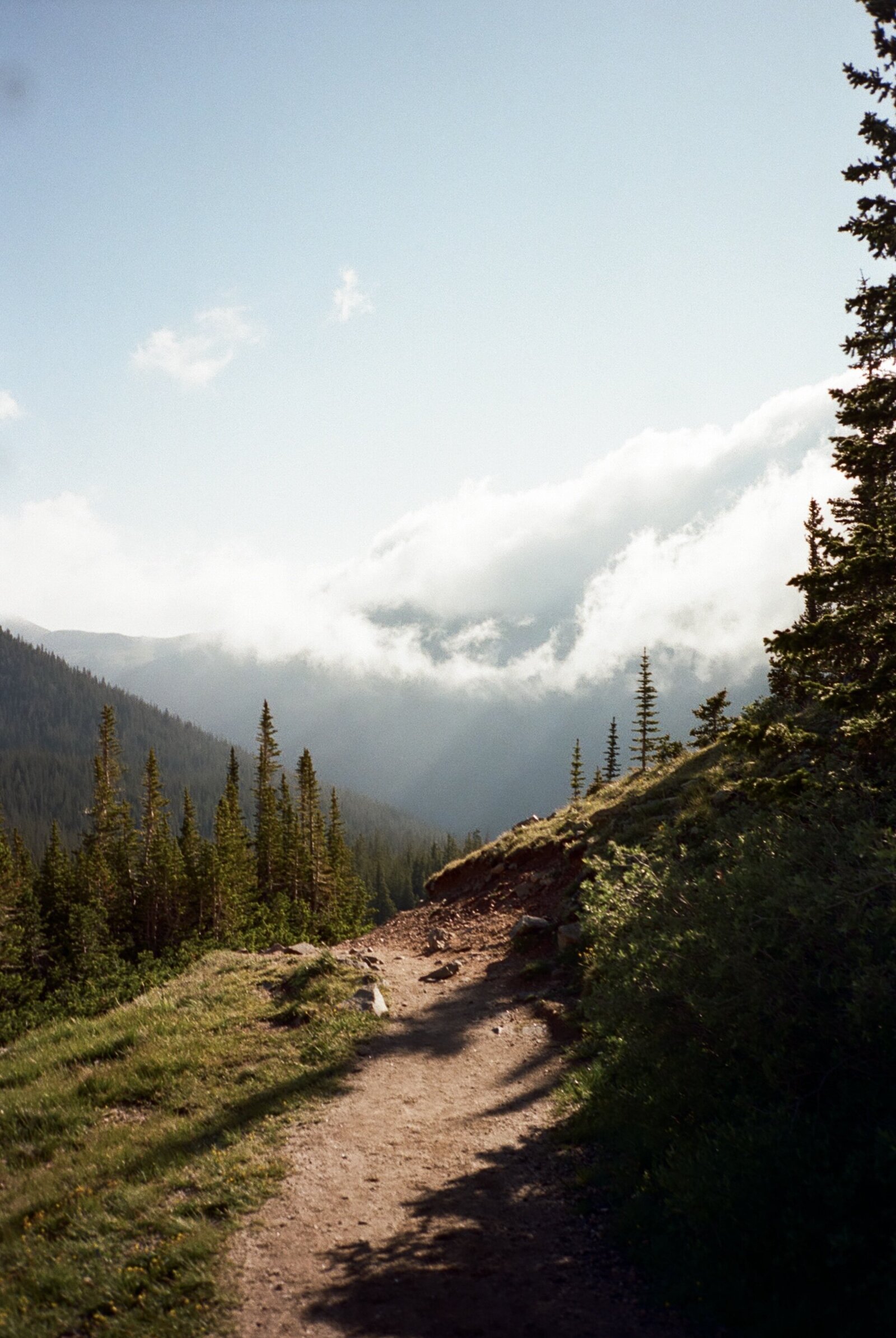 PNW Film Elopement Photographer