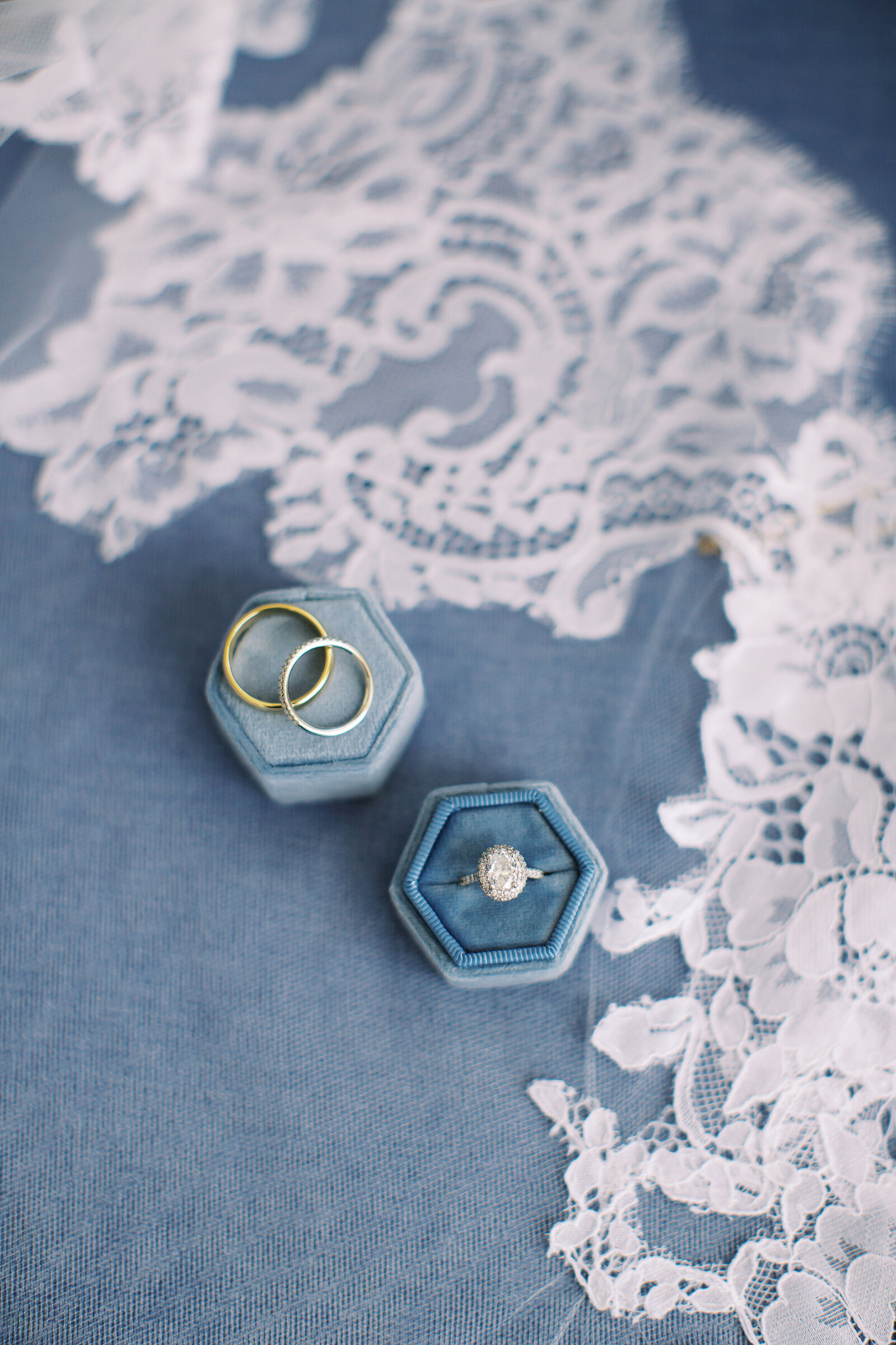blue-velvet-wedding-rings