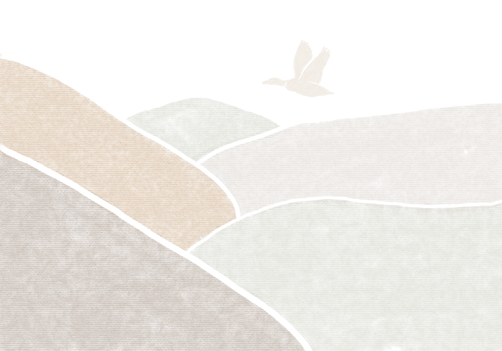 Mountain Illustration