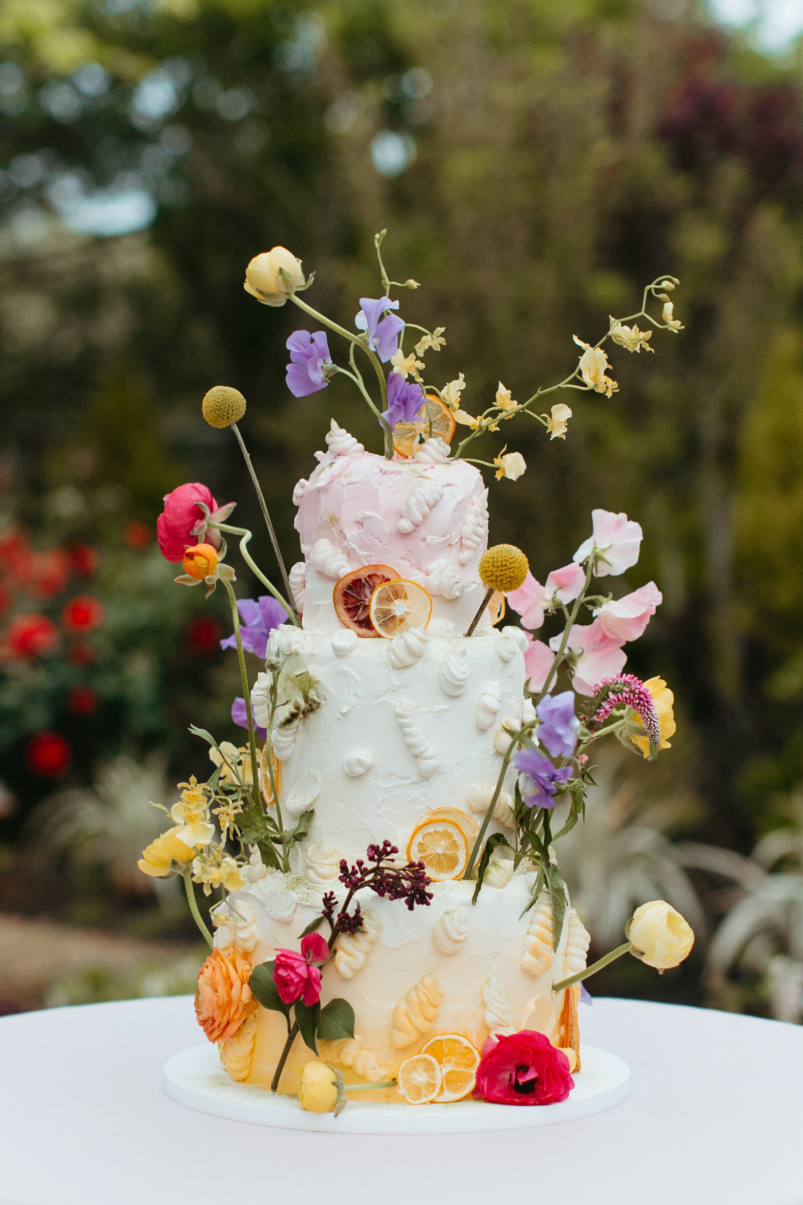 Persian Sonoma Wedding58