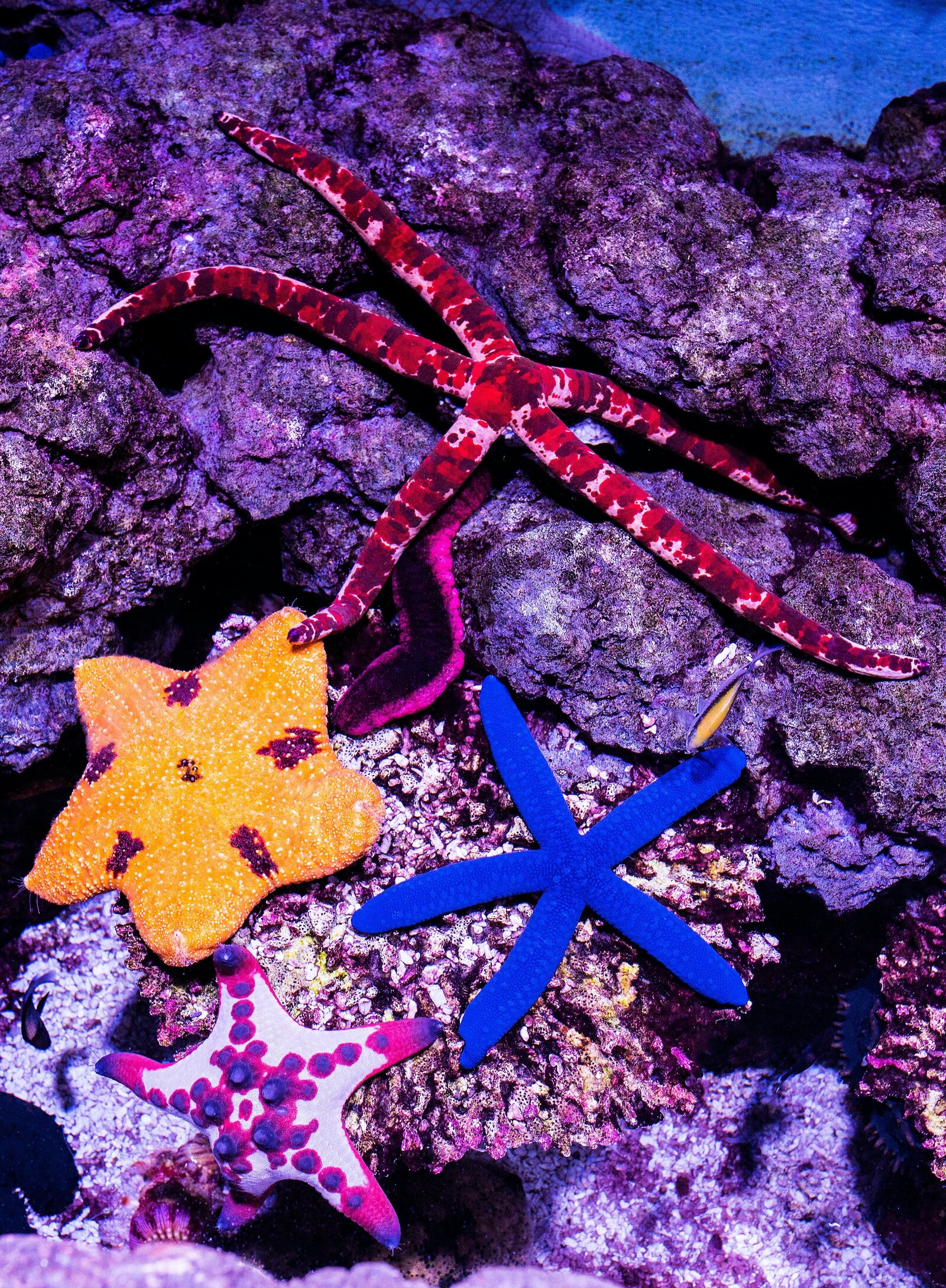 david-clode-Sebx85GlnUQ-unsplash