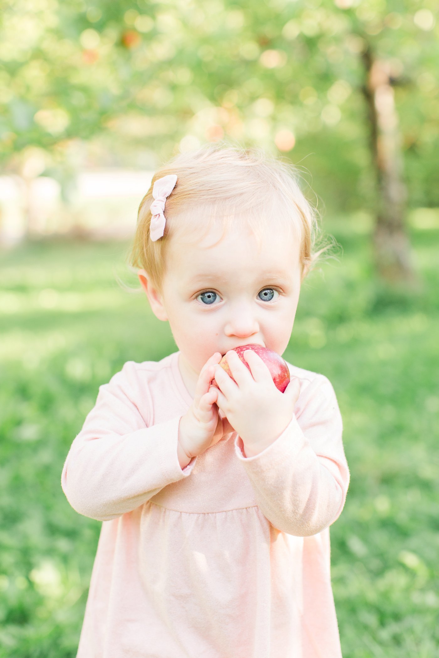 fall-the-apple-farm-victor-new-york-family-portrait-4