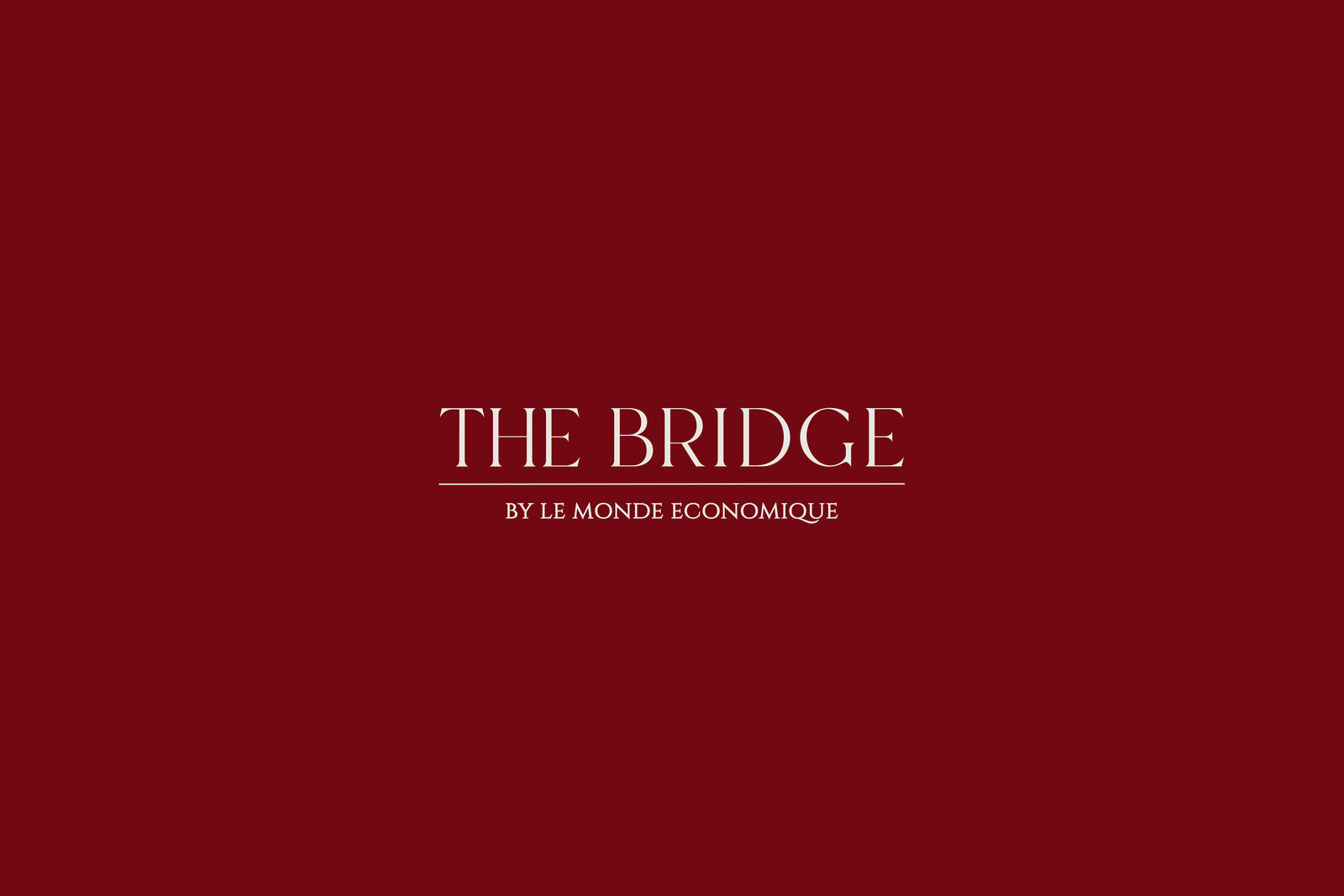 Persona-Vera-branding-agency-for-ambitious-leaders-branding-THE-BRIDGE-13