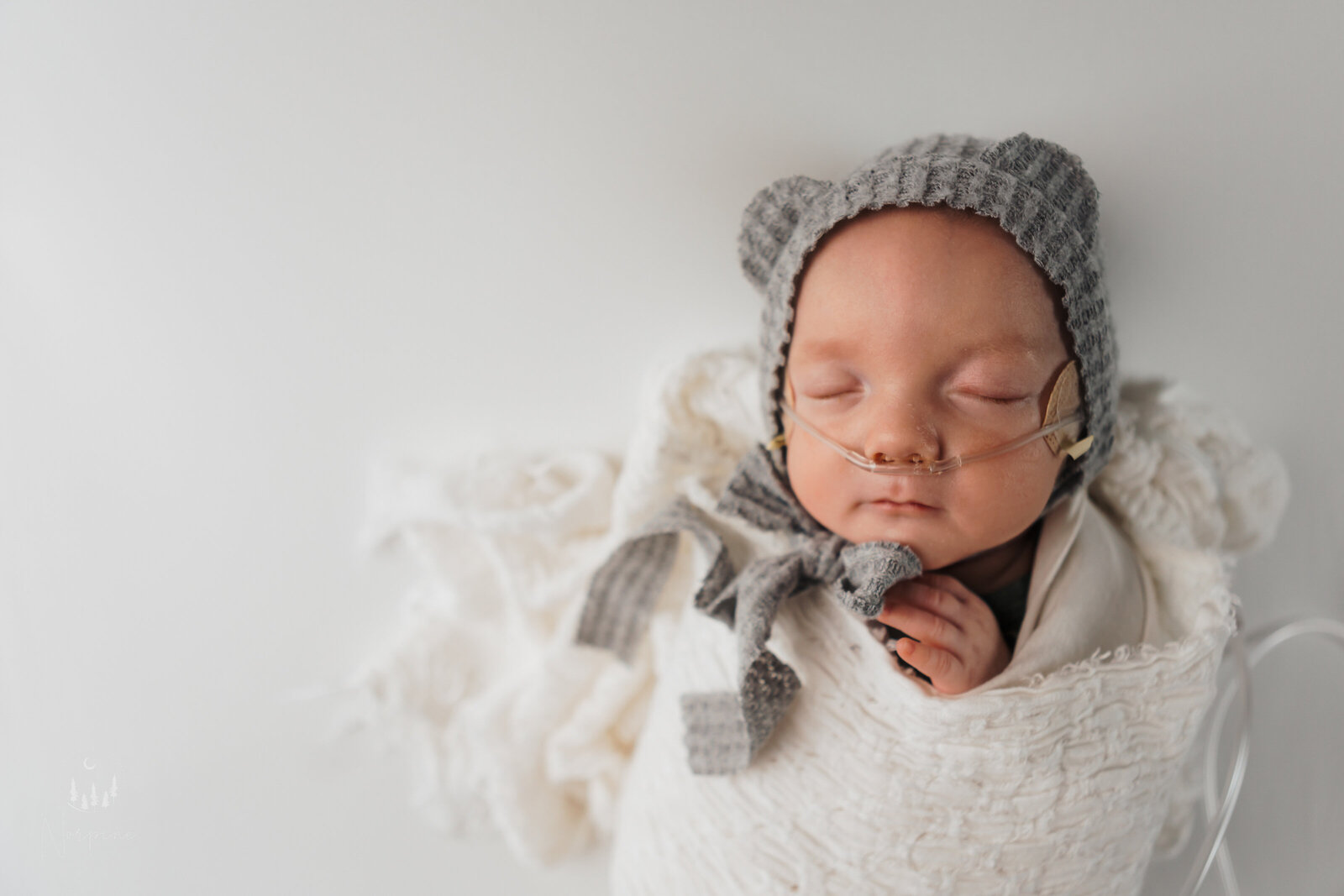 a newborn born in traverse city michigan, in a professional photography image with a white background, white blanket, and gray bear ear hat, hands crossed, slightly facing right, wearing oxygen. Image taken by norpine photography of gaylord MI