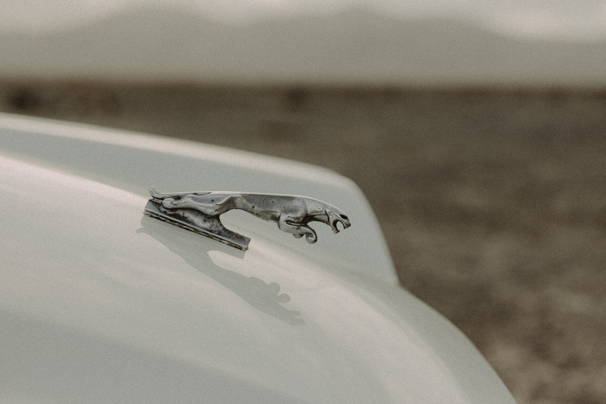 car-ephemeral-by-robert-pilichowski013