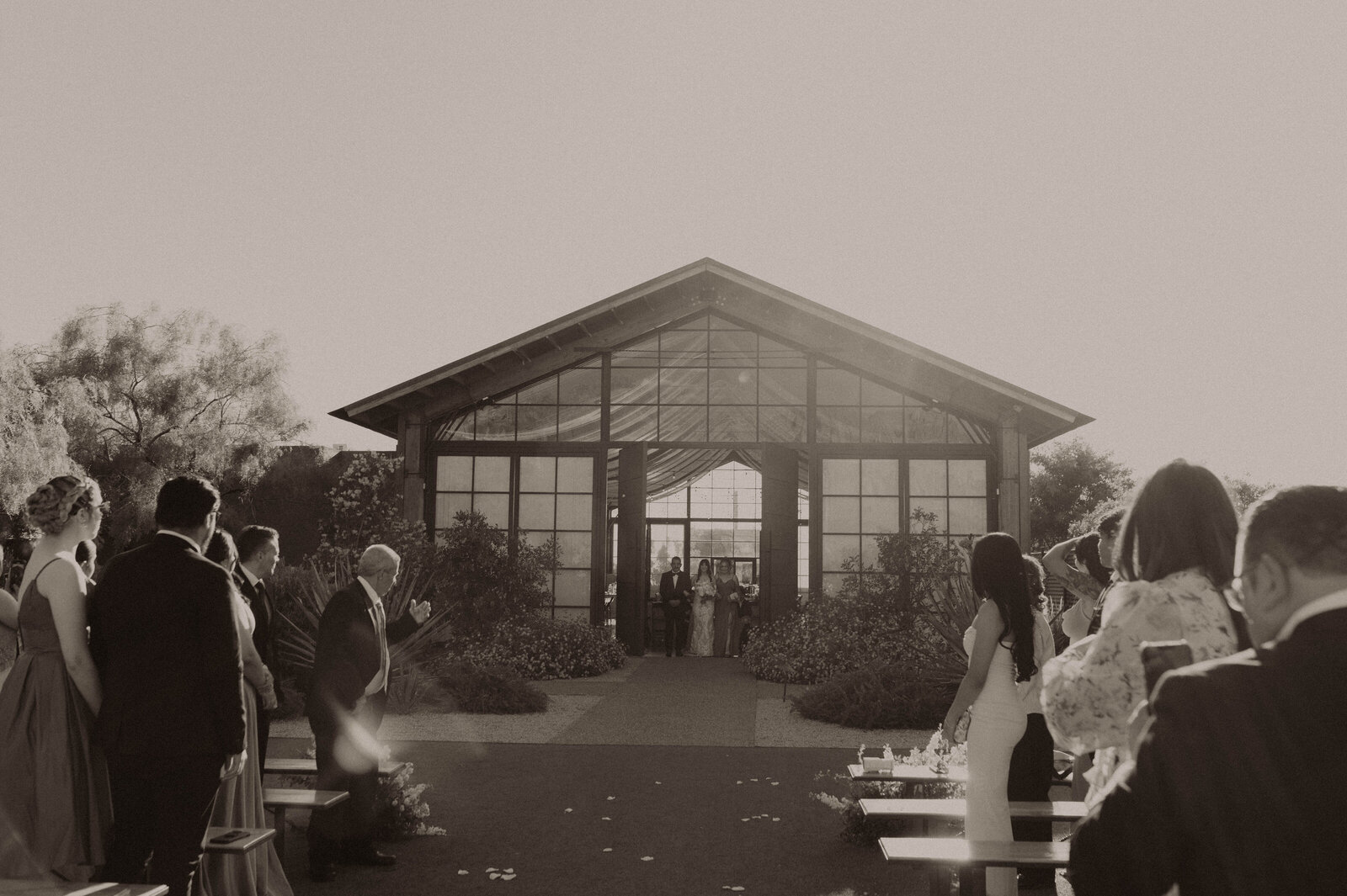 TheCarmonasWeddingAZ-486