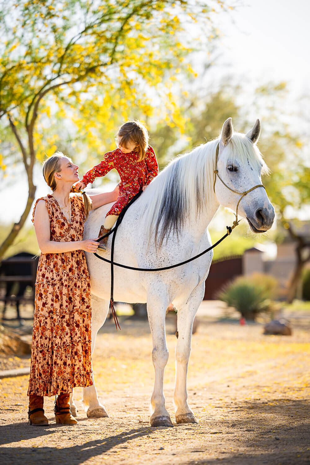 El-Paso-Texas-Horse-Photographer-082