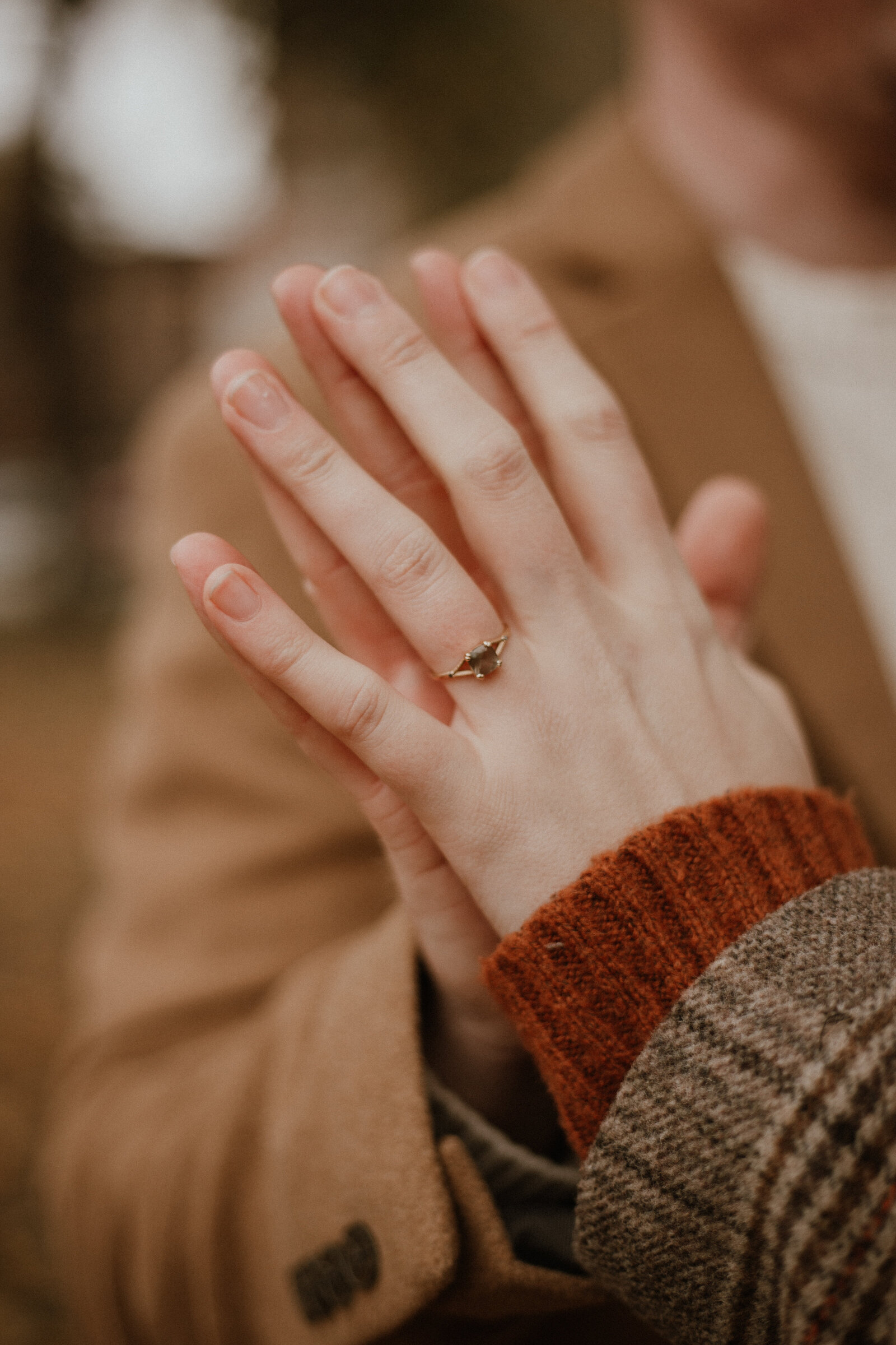 Chicago Engagement Photos-52