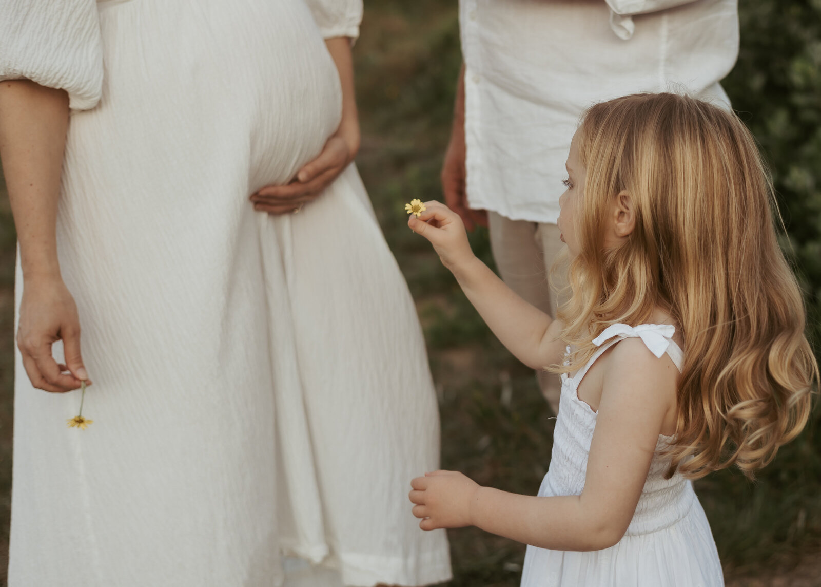 A close up photo of mum cradling her baby bump in a white dress while her blonde daughter is handing her a yellow flower.