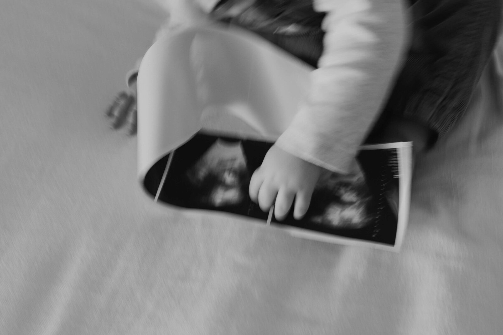 Little Miss -  Allison Elise Photo-10