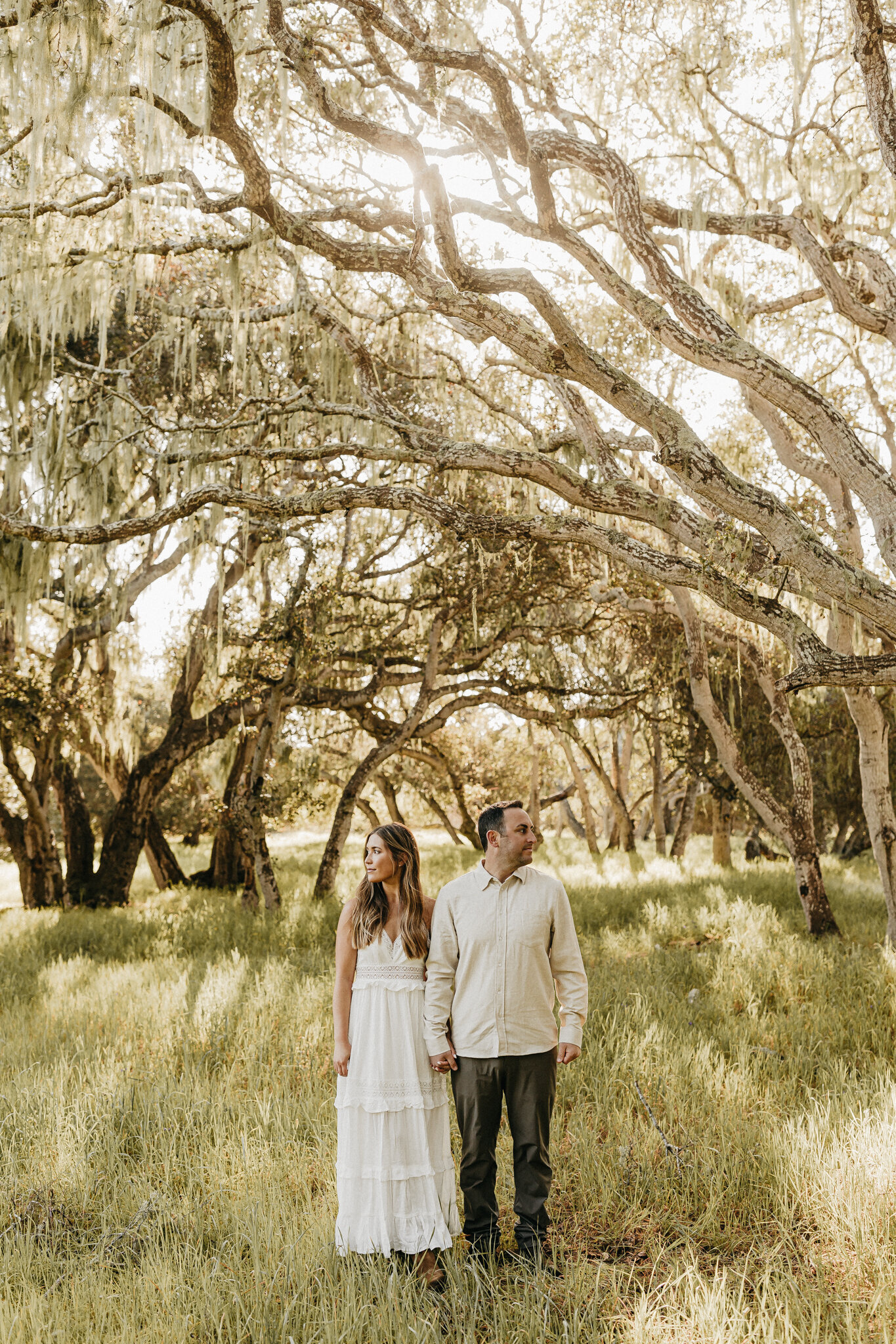 forest-engagement-monterey-big-sur-2-2