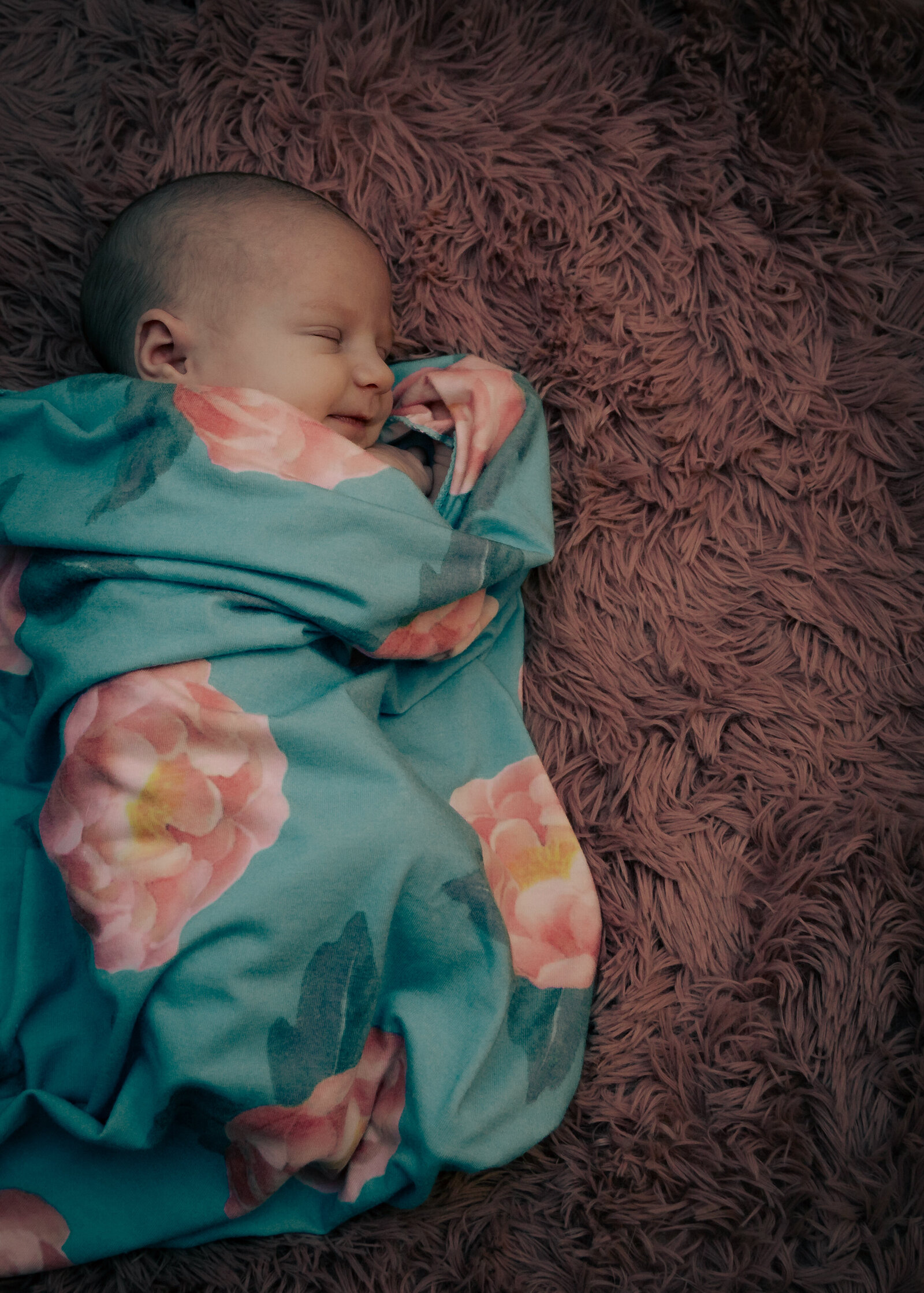 baby newborn portrait 