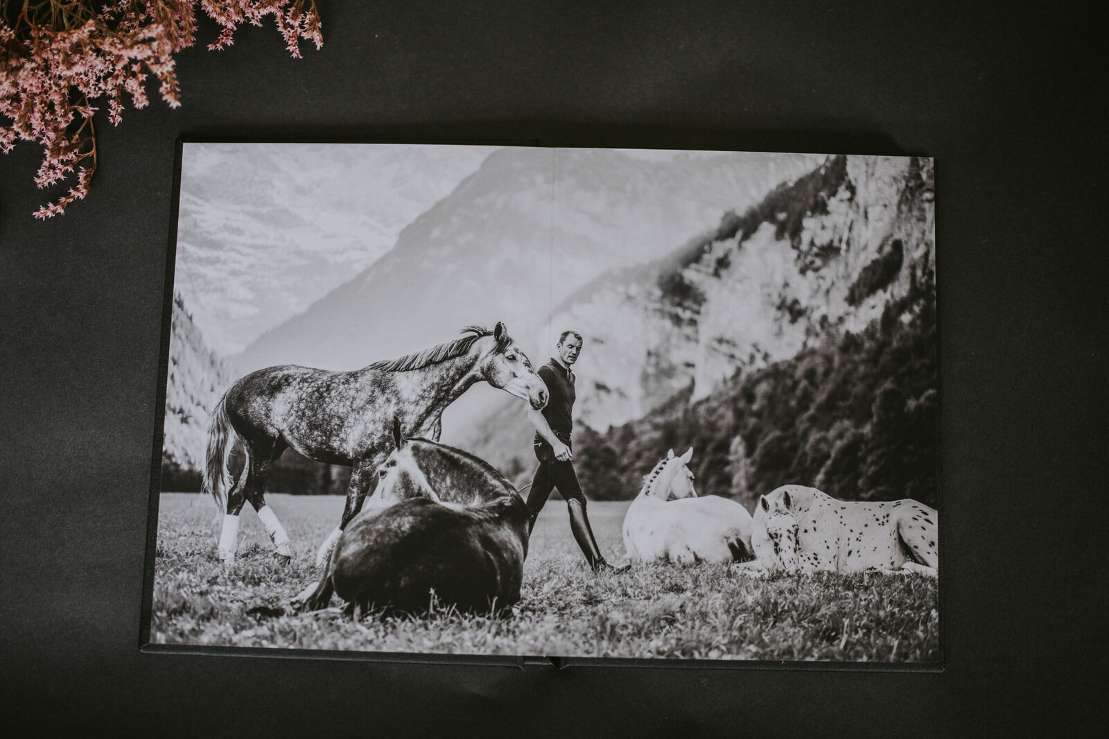 Photo-album-spread-equine-photographer