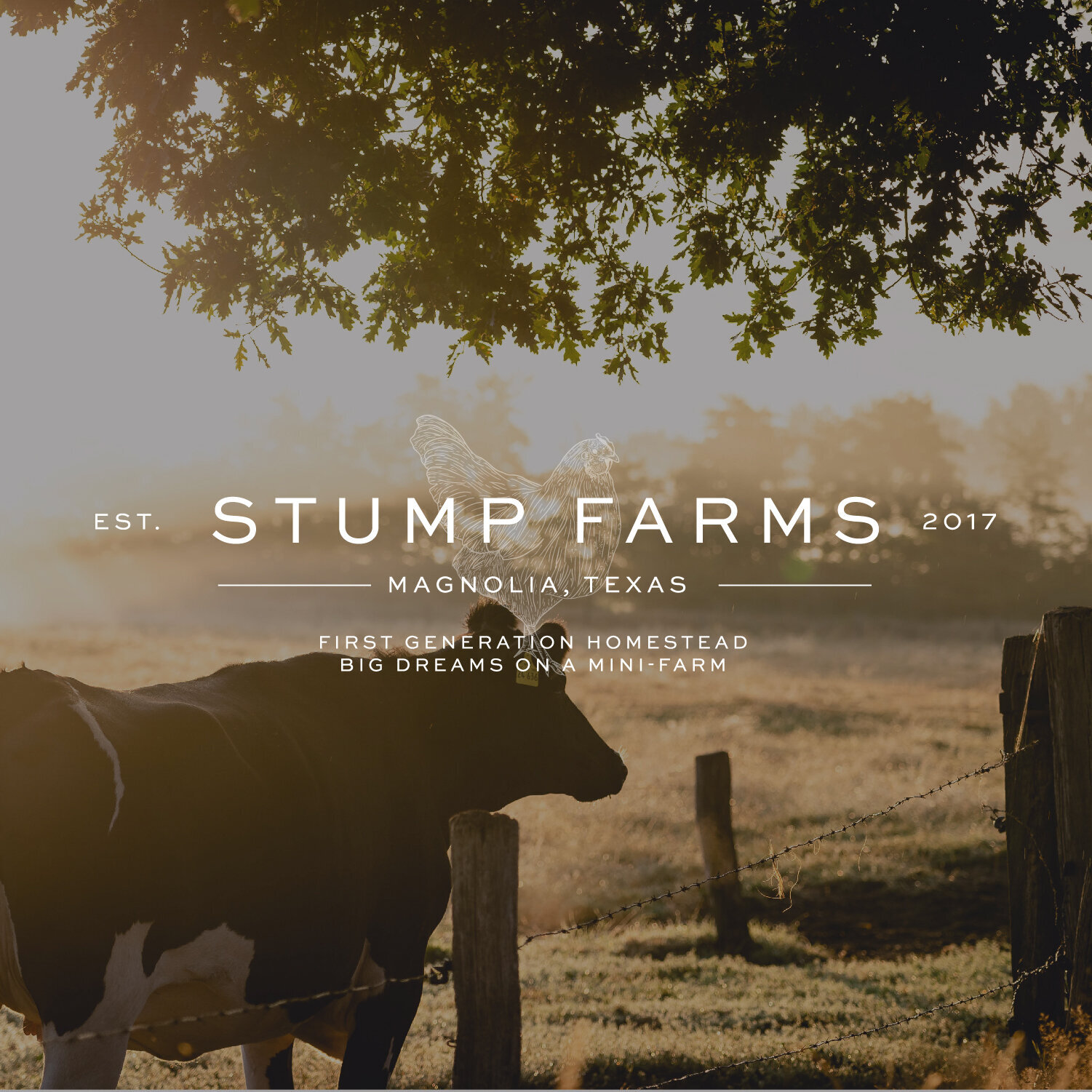 Brand Launch- Stump Farms-03