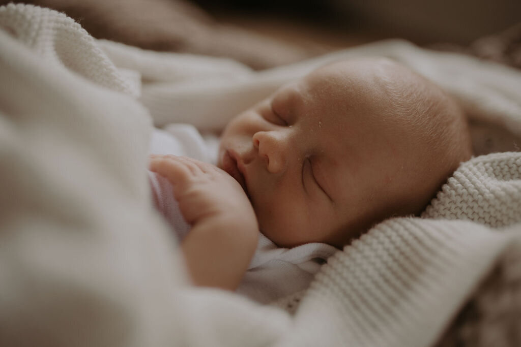 AbigailElizabethPhoto-3573