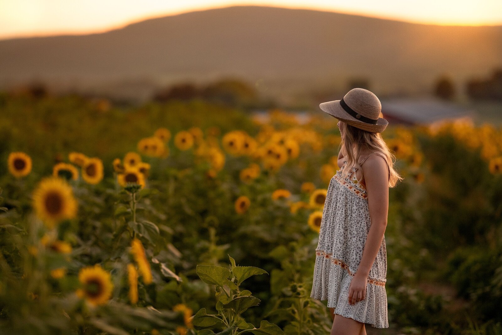 senior girl in field of sunflowers