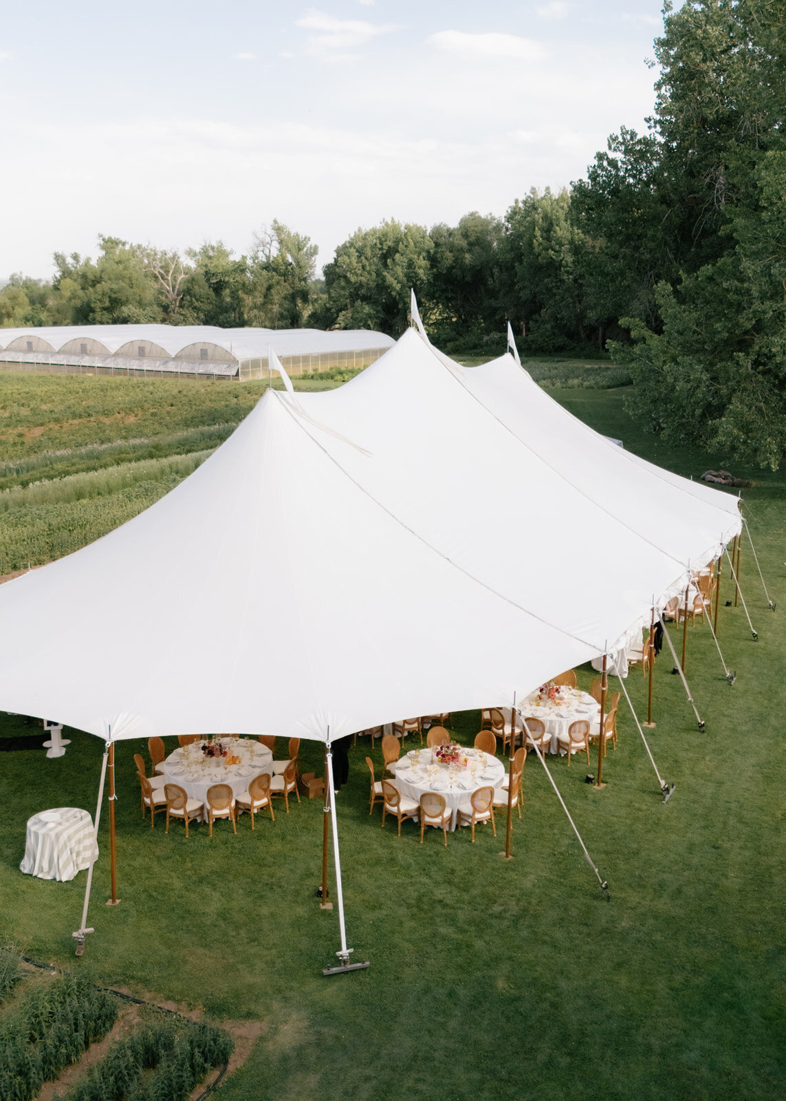 6.28-Amanda-Dominic-Boulder-Flower-Farm-Wedding-491