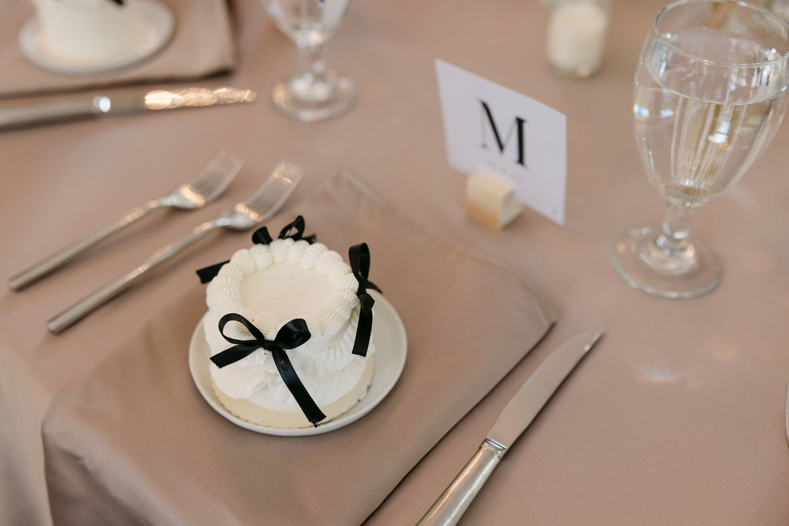 CAITLYN+DALTON_LAPOINTEWEDDING_TONYAHJORTPHOTOGRAPHY-483