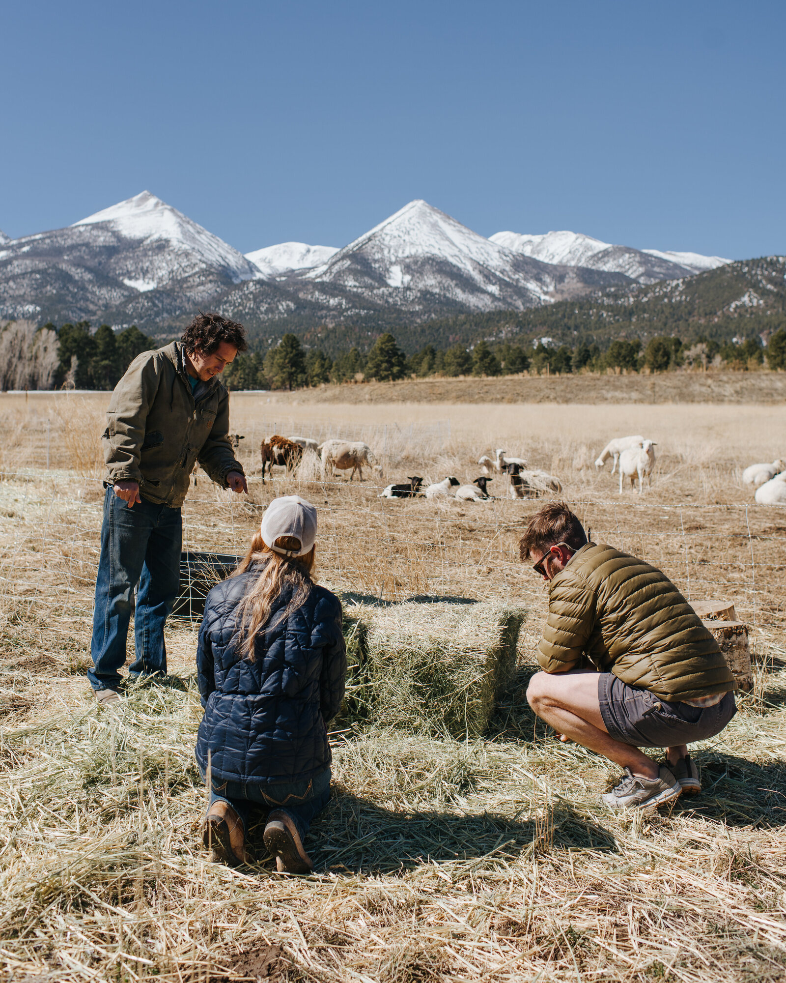 Colorado Ranch Photography