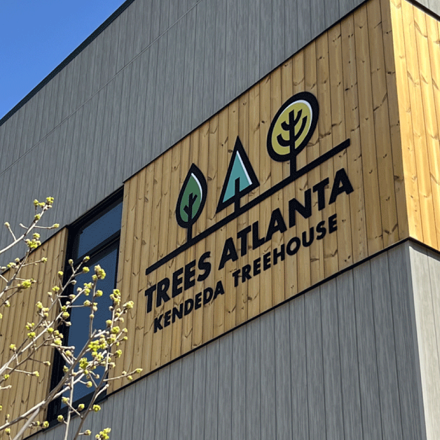 Trees ATL portfolio cover-01