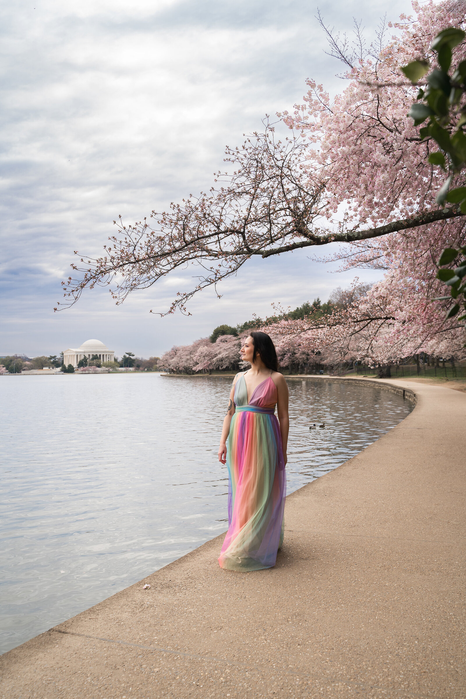 Waldorf Astoria Washington DC Travel Photographer Erin Donahue Photography niredonahue (2)