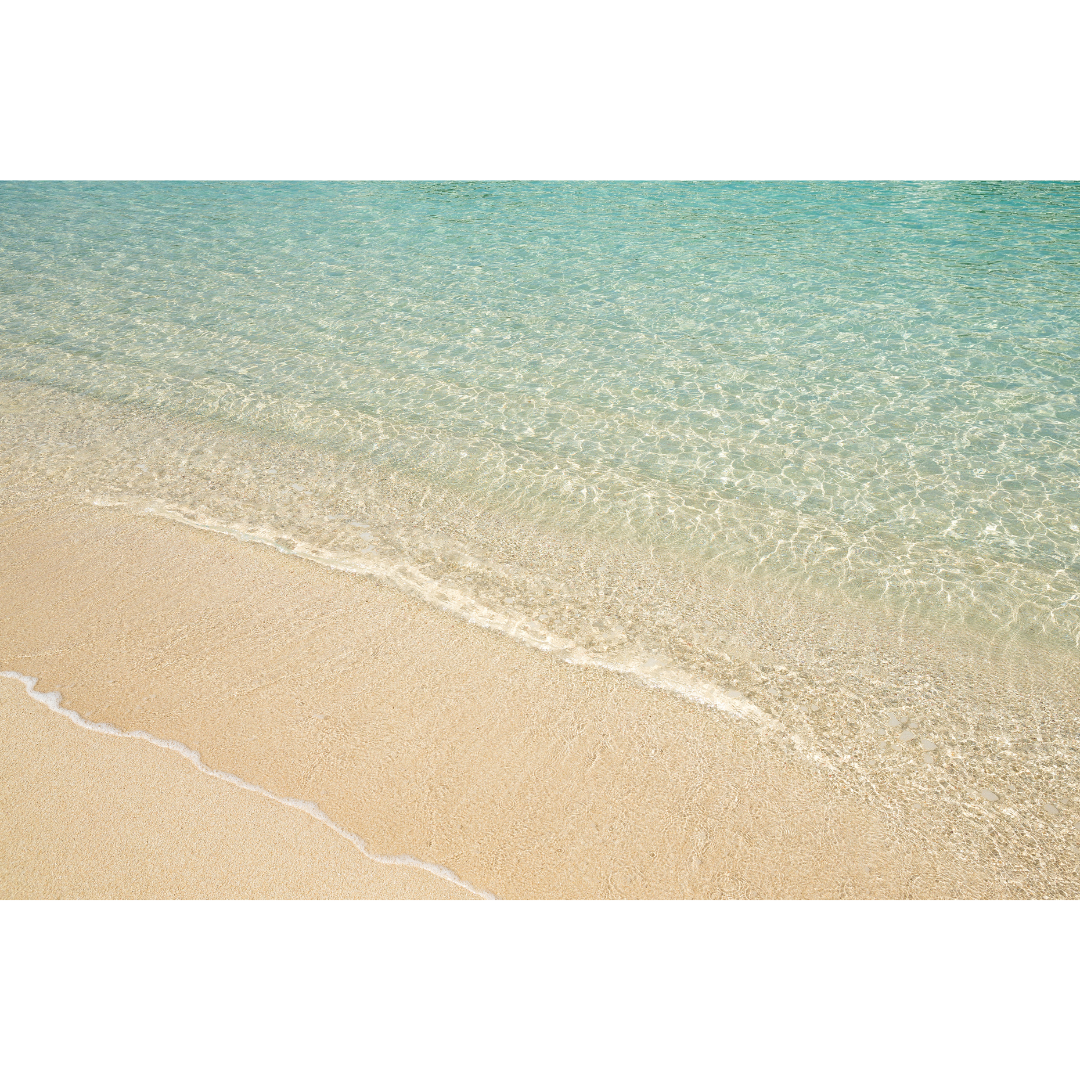 Book a bookkeeping consultation with Alicia May Bookkeeping